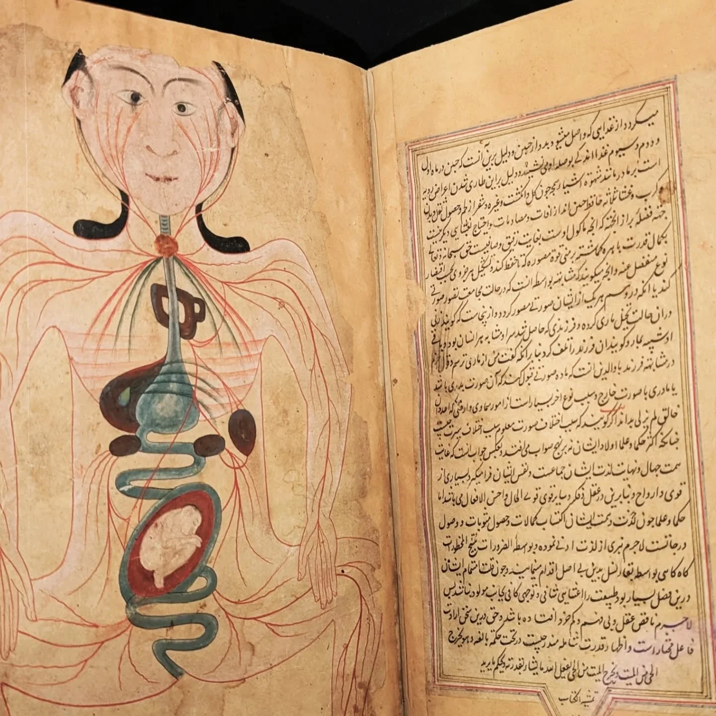 'Cristina stared at the books. "You think those writers didn't try everything? You think they weren't all gripped by the same fear? Eventually, illness defeats us all."' Final book in the Basilica Diaries series, Tyranny of Indulgence ... C