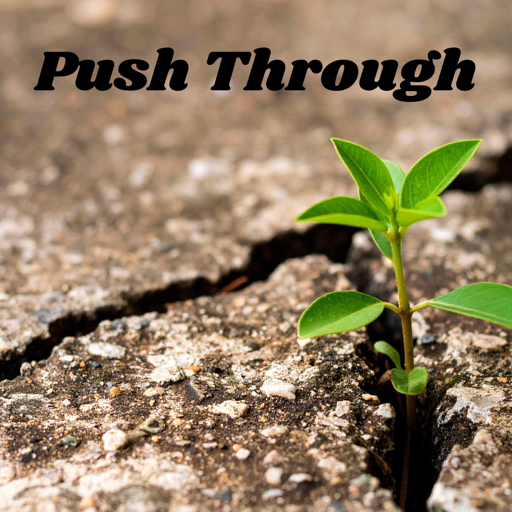 Push Through