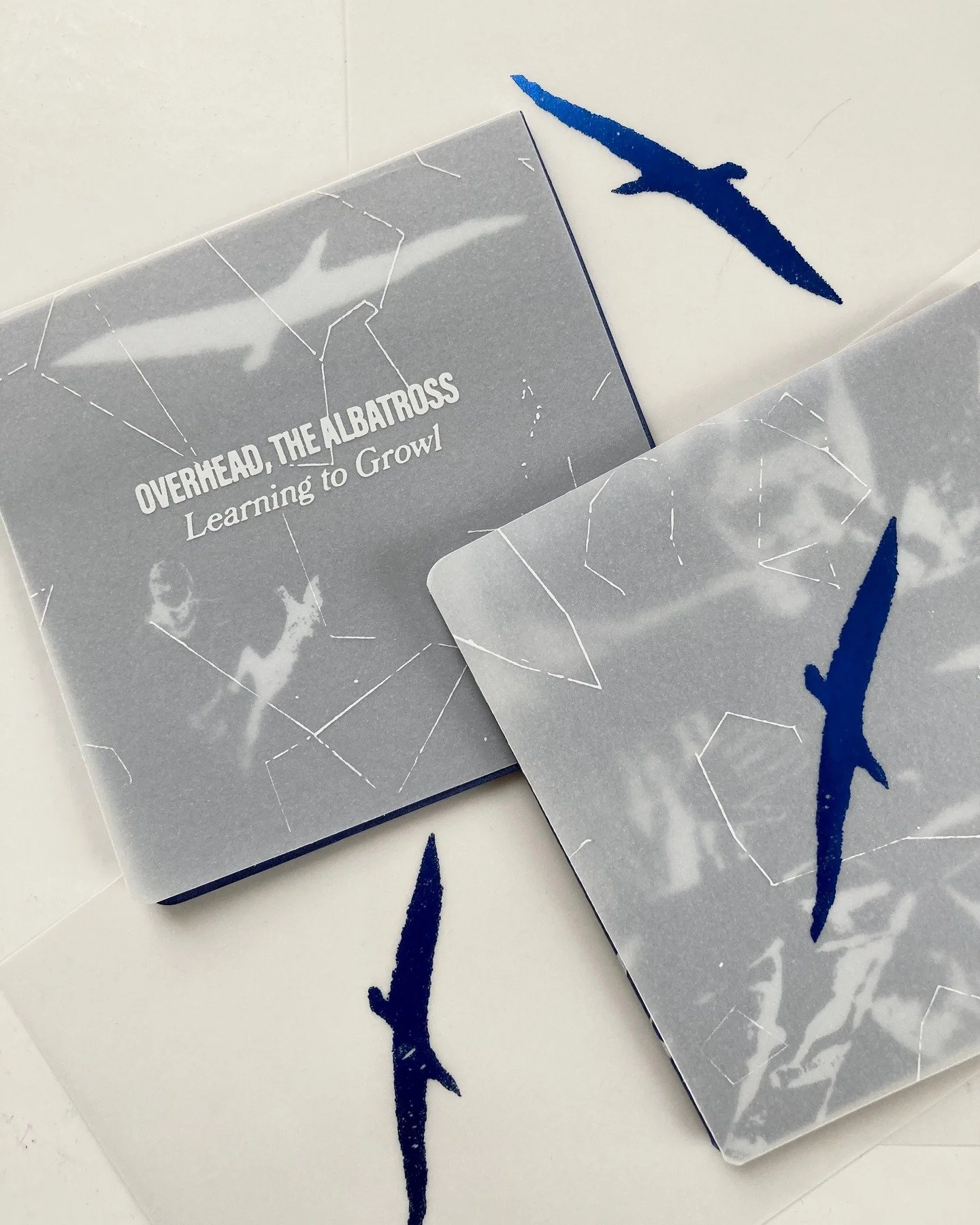 We had the pleasure of working on the design and printing of this reissued CD edition of Learning to Growl by @overheadthealbatross 

This special edition CD sleeve features full-cover screen printing throughout onto blue pearlescent card stock with 