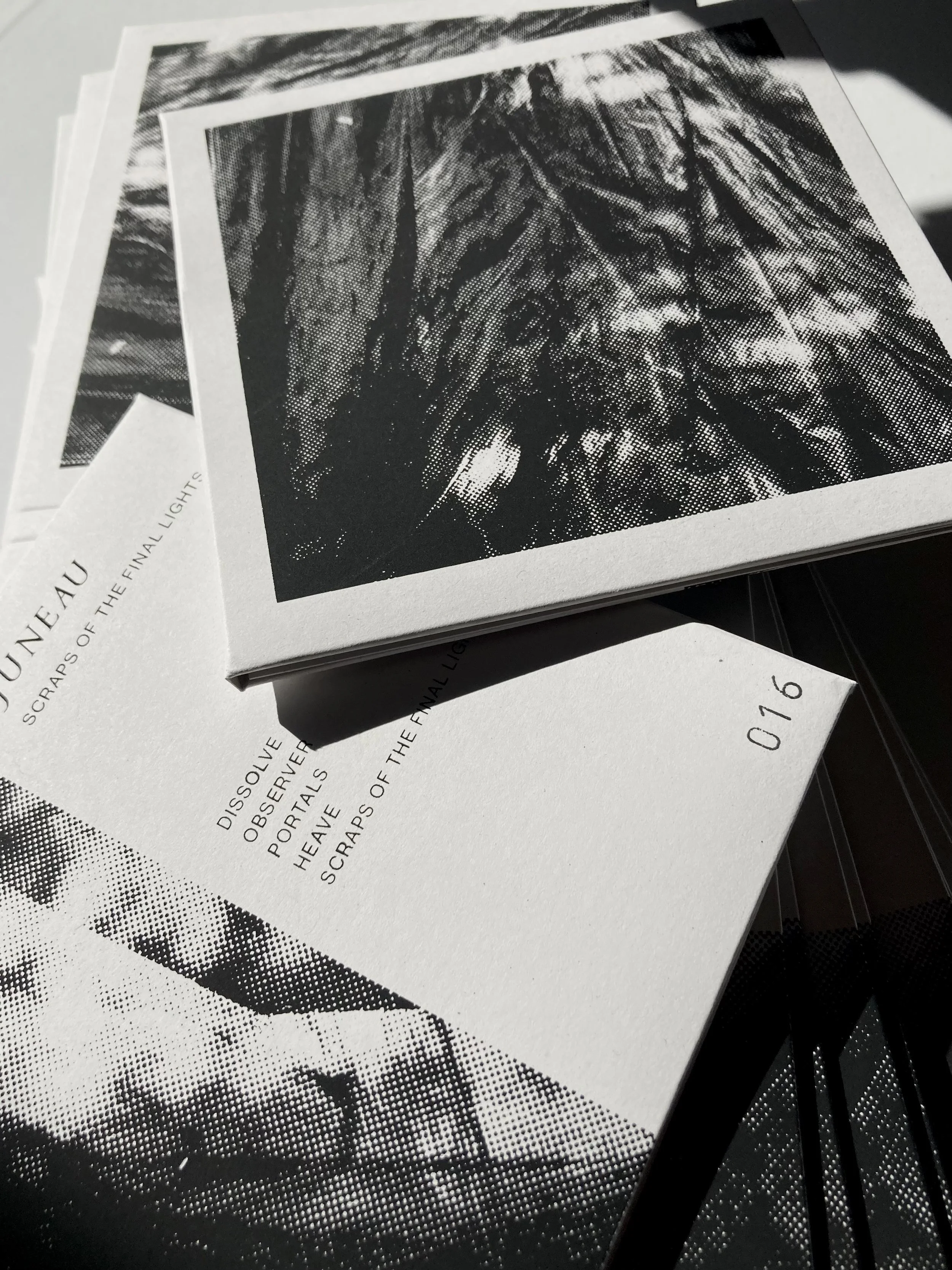 Juneau_CD_Photo_5.jpg