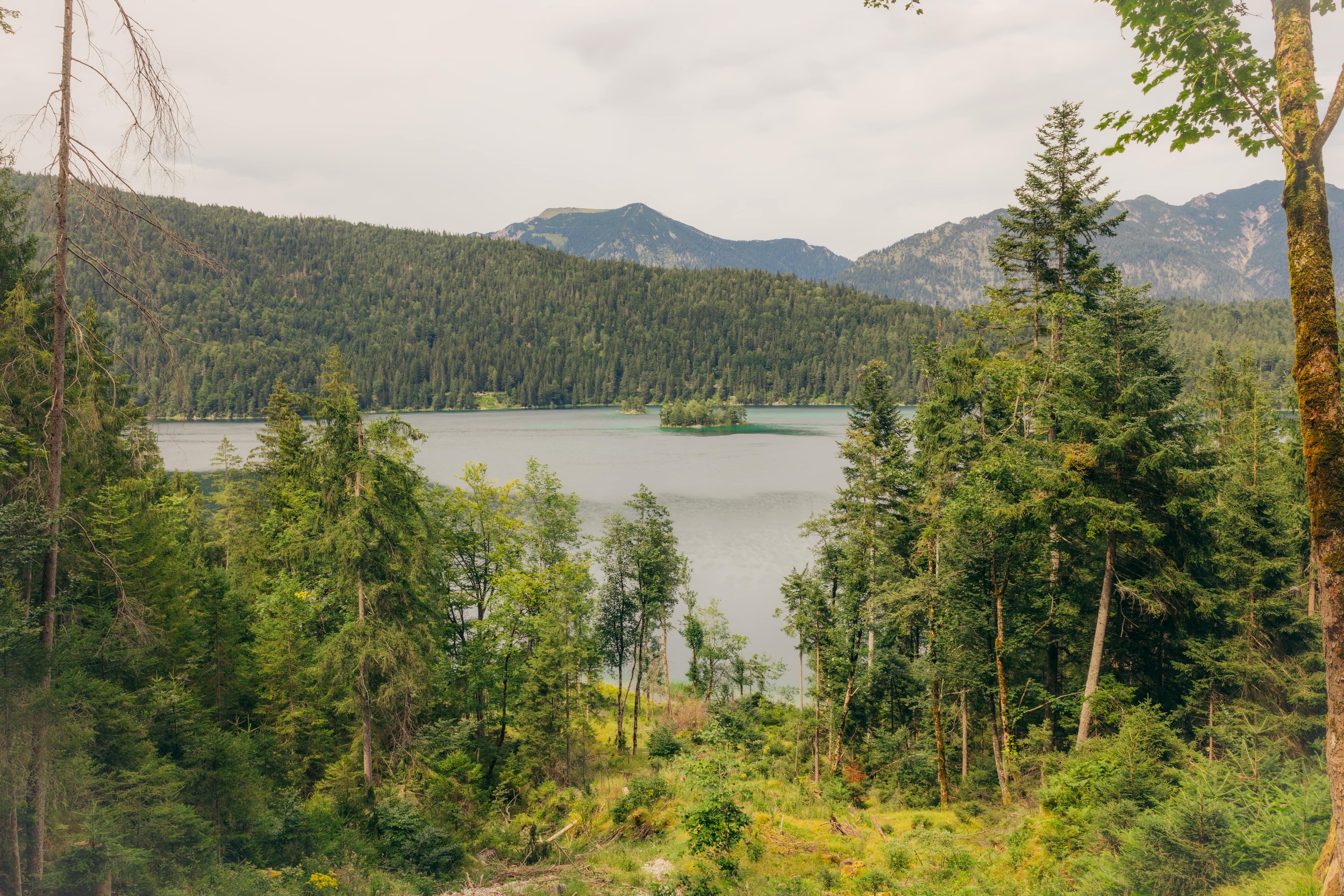 Eibsee 07.08.2024 (18 von 70)-min.jpg