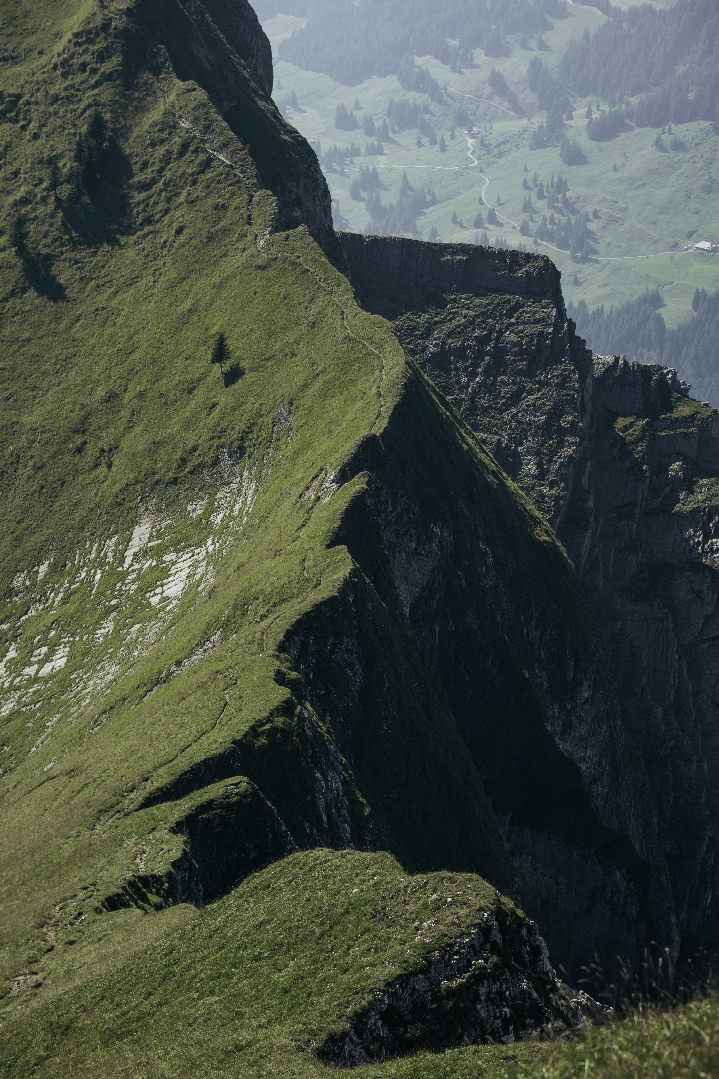Swiss Edited-63.jpg