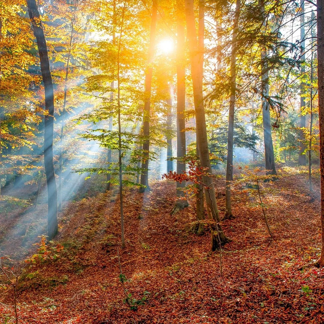 6/21, CLOSED for Father’s Day