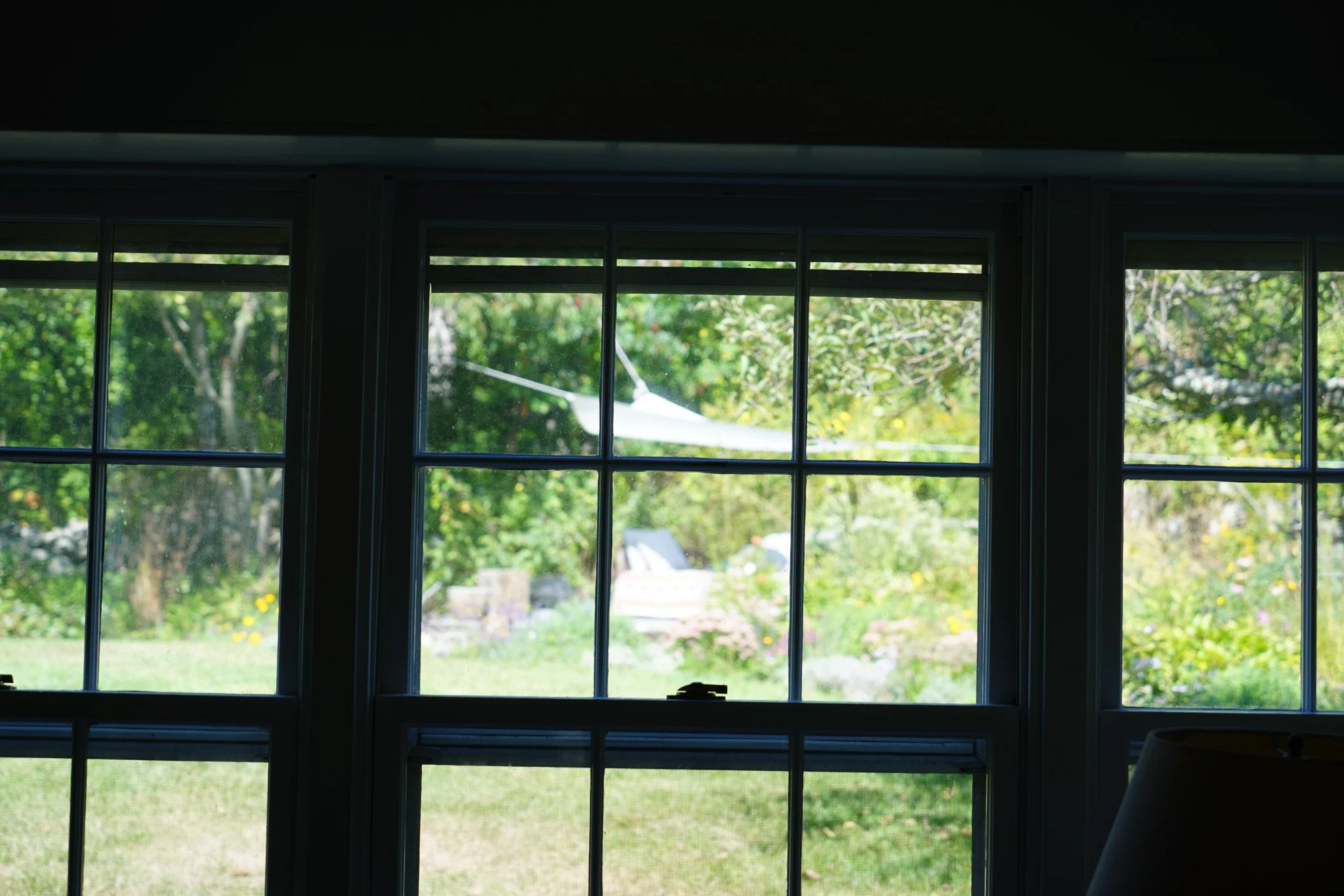 DSC09538-2.jpg