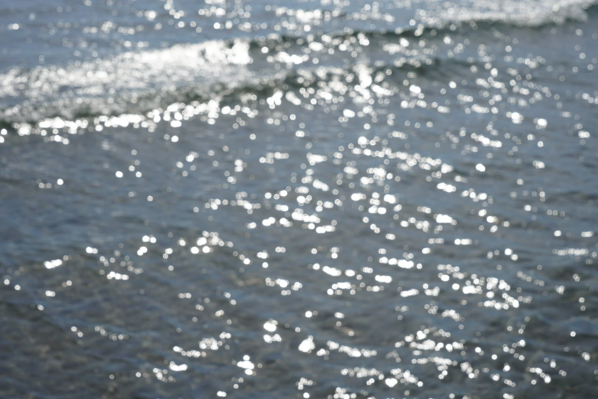 DSC09589.jpg