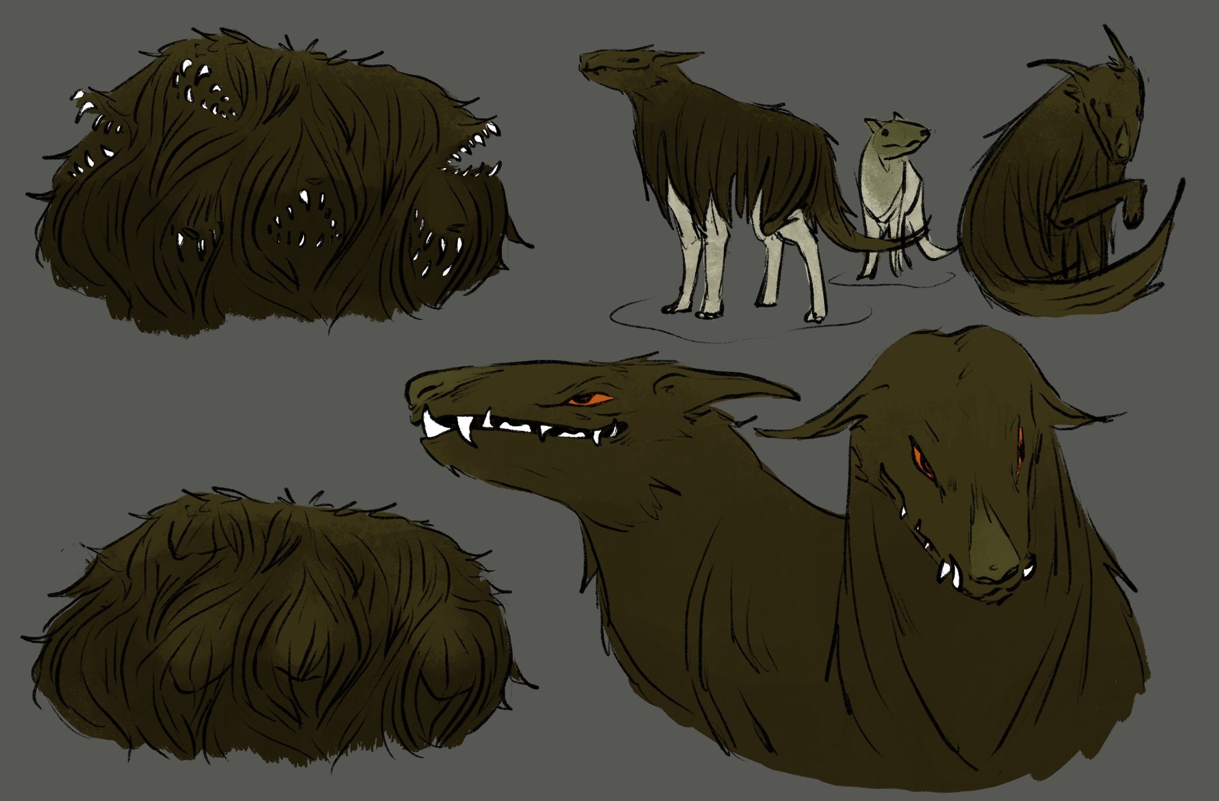 BushWolves May30.PNG