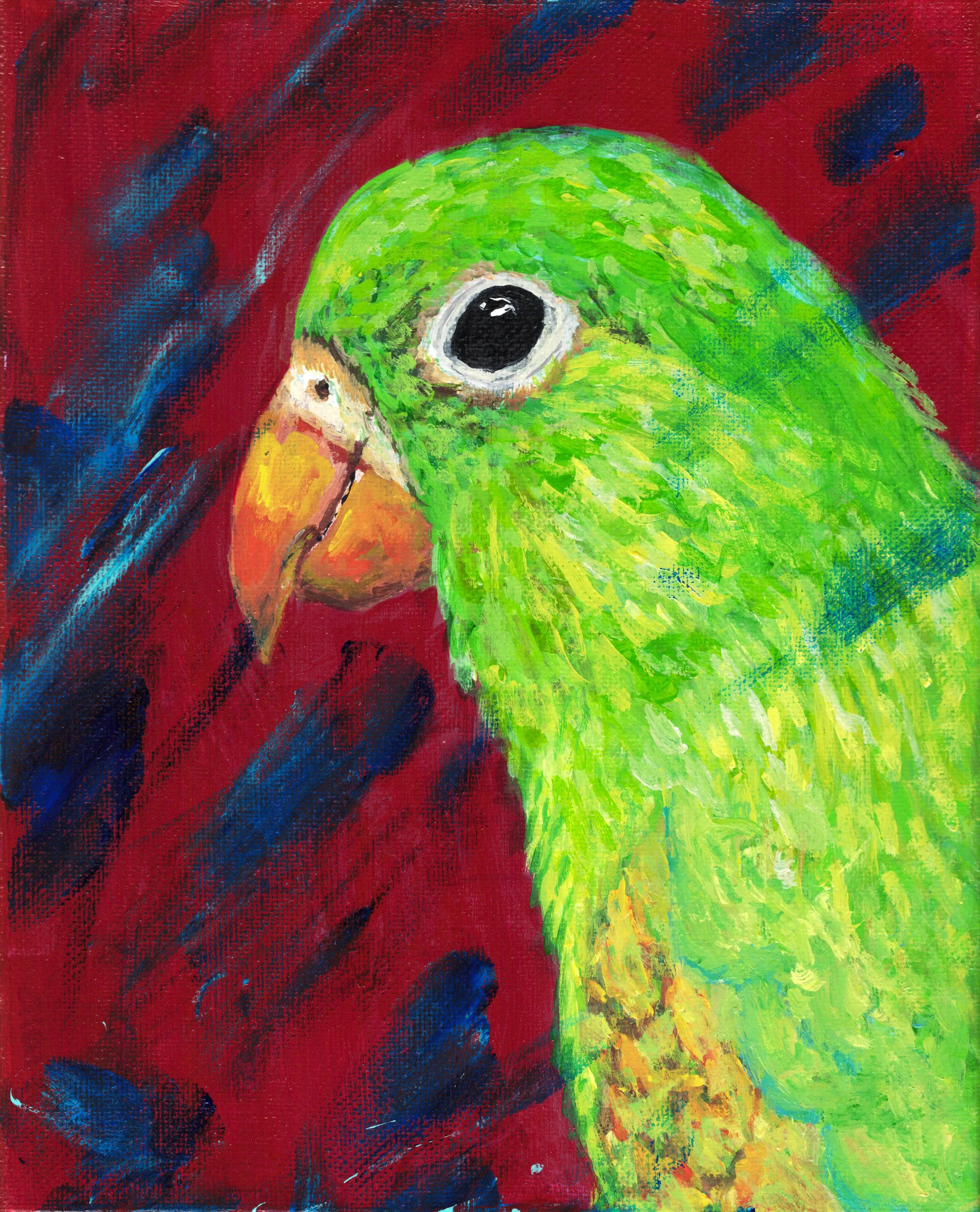 Green Parrot_0002.jpg