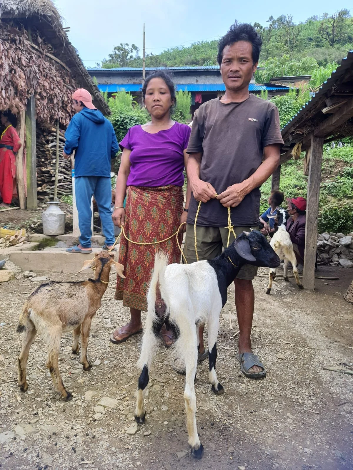 Chèvres pour familles Chepang- Chitwan
