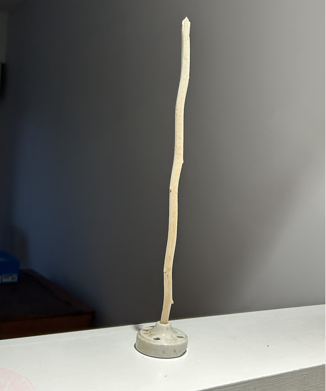 Screen Shot 2024-07-12 at 1.10.11 PM.png