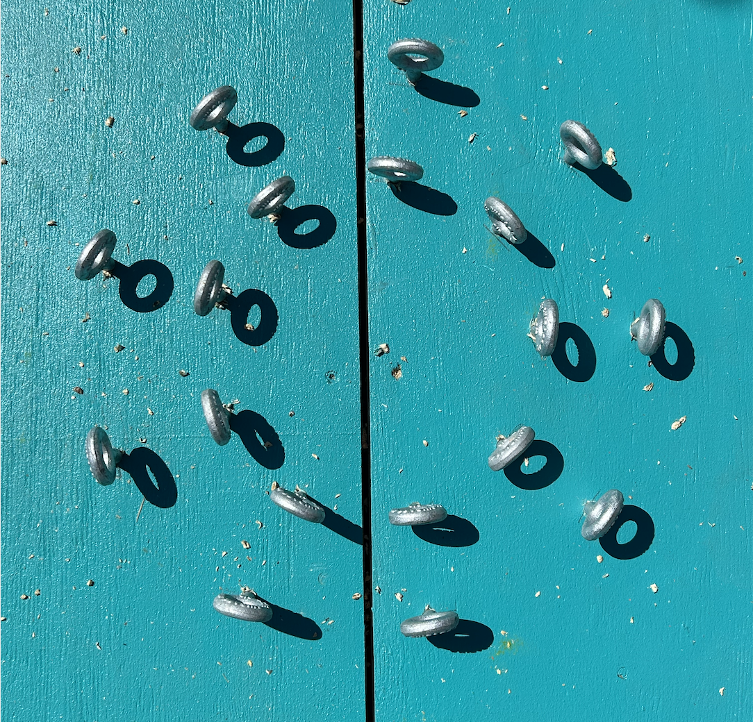 Screen Shot 2024-07-12 at 1.09.19 PM.png