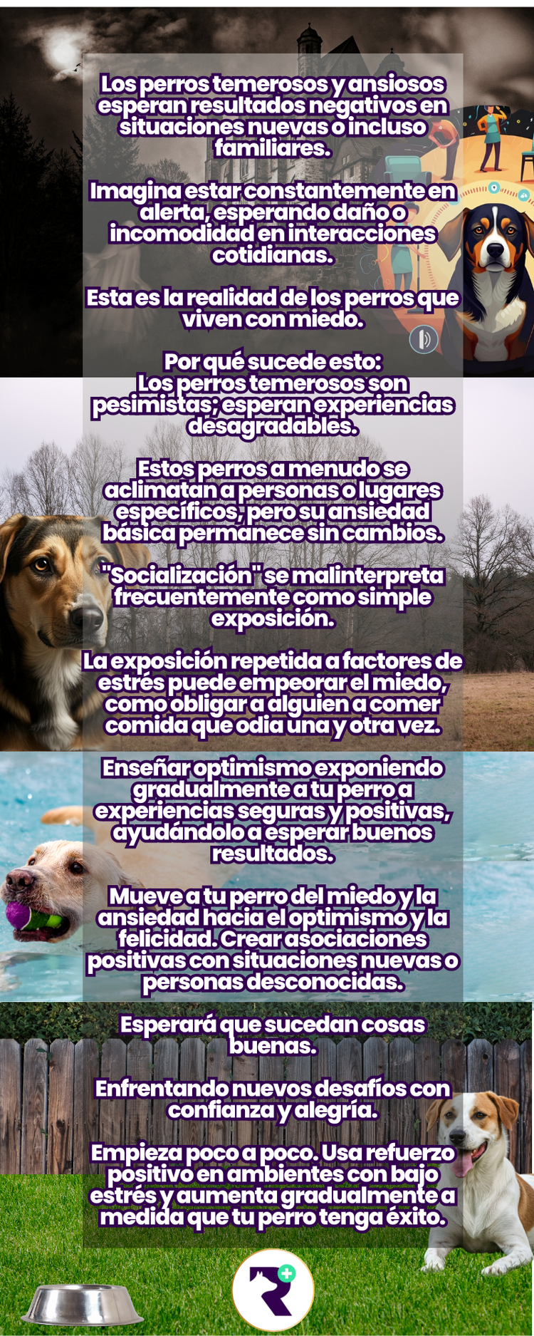 5 cosas que el perro debe saber sobre su entrenador