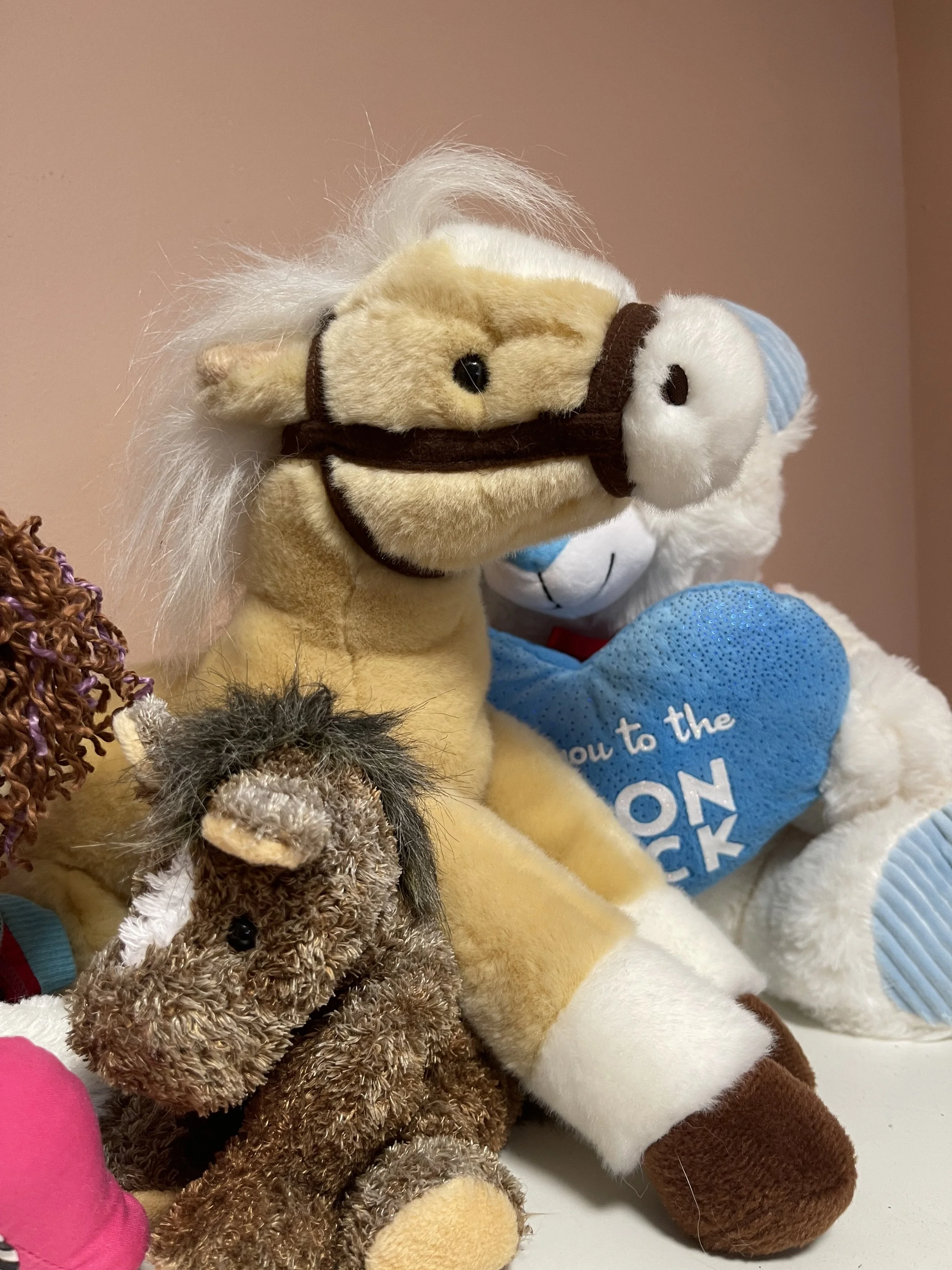 When the Only Thing You Can Save Is a Stuffed Animal