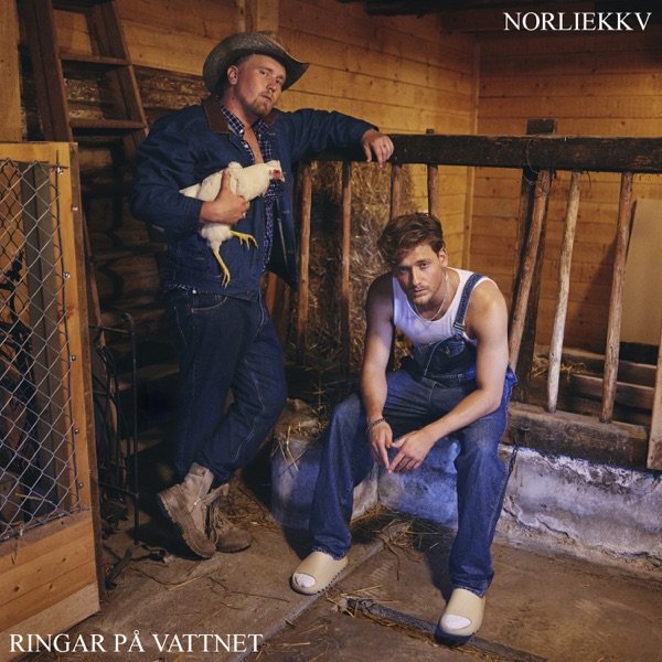 Ringar på vattnet - Single.jpg