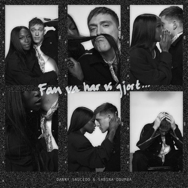 Fan va har vi gjort... - Single.jpg