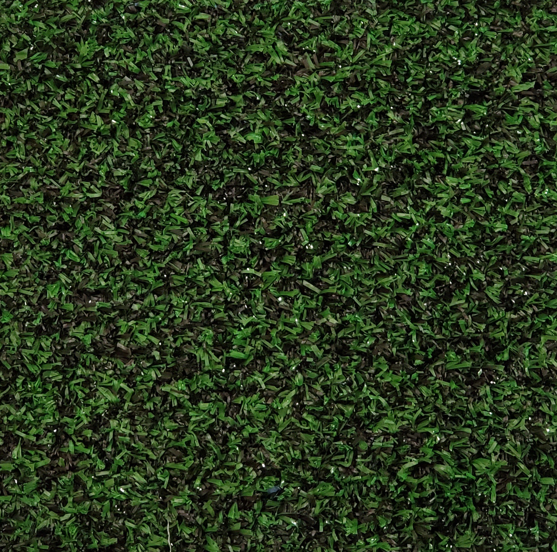 Tradition #107 - Green/Black