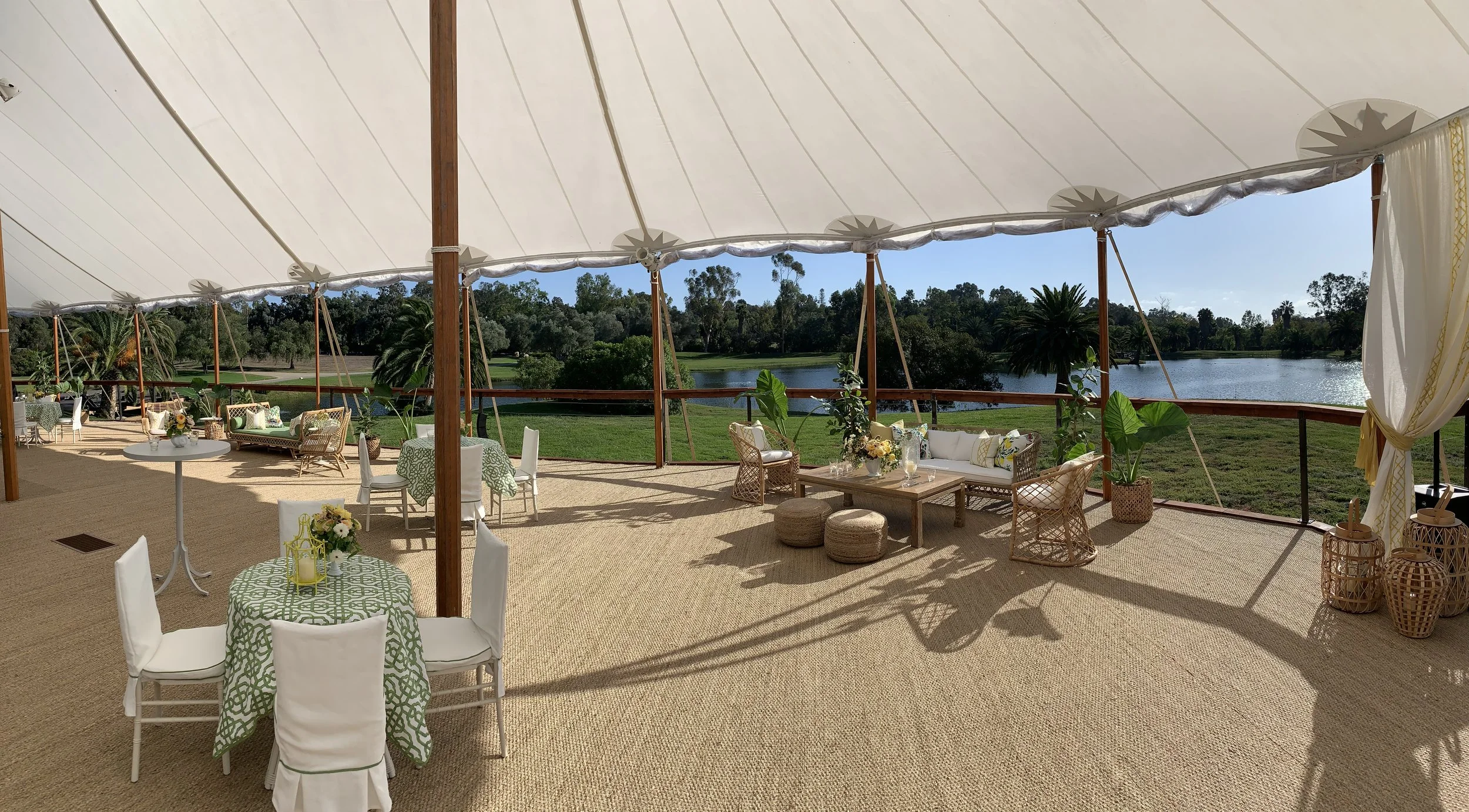 Skyline seagrass 2.JPG