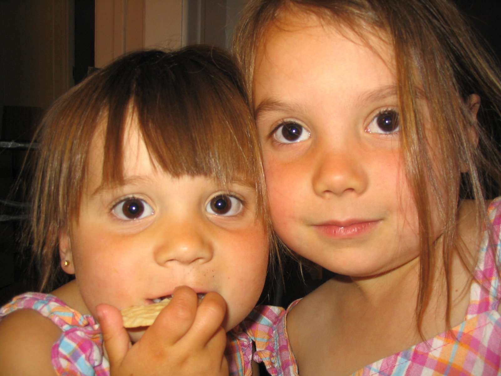 Up in Each Other’s Grill: Enmeshment in Family Systems