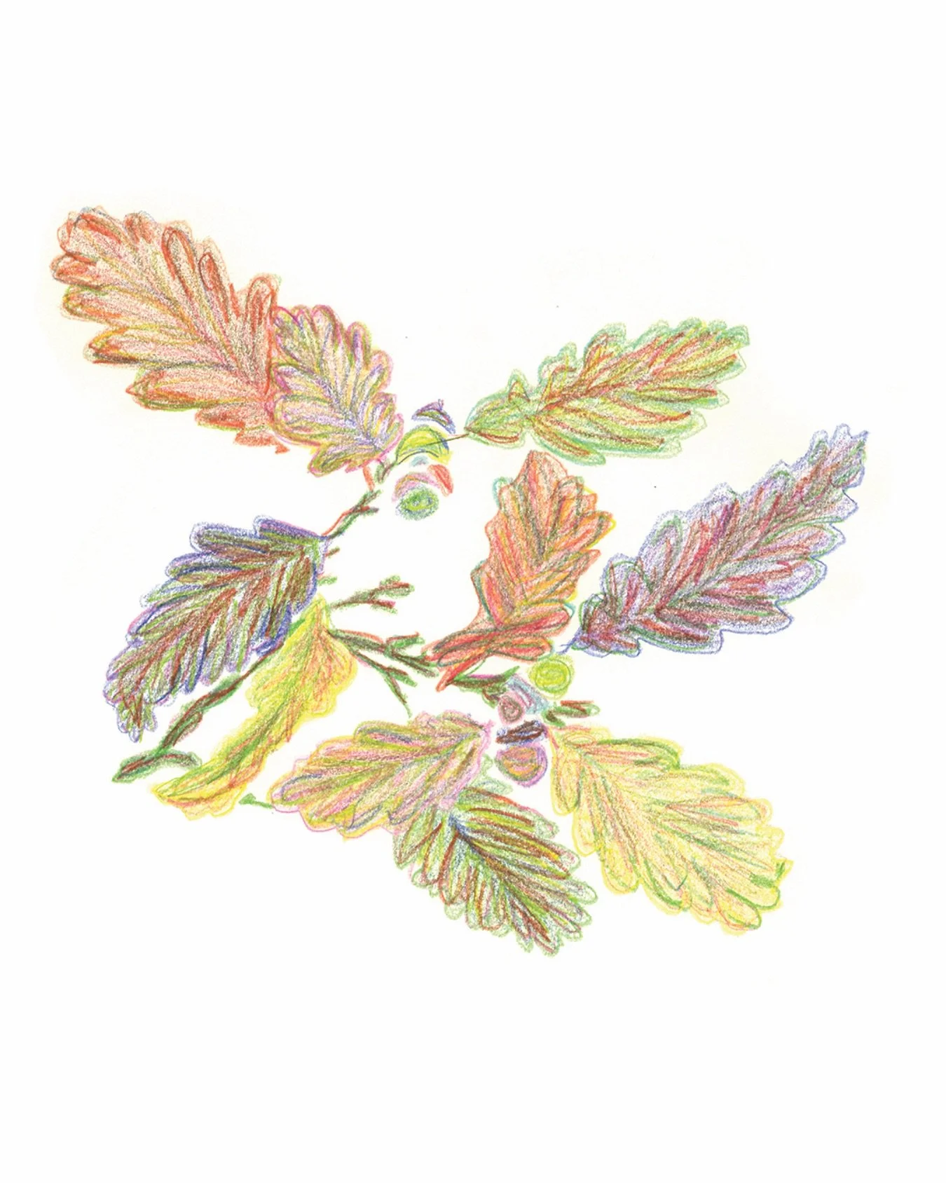 Ce dessin c&eacute;l&egrave;bre l&rsquo;imperfection organique et la beaut&eacute; du processus manuel. Les superpositions de pigments et le grain du papier cr&eacute;ent une profondeur unique, rappelant la patine des objets fa&ccedil;onn&eacute;s av