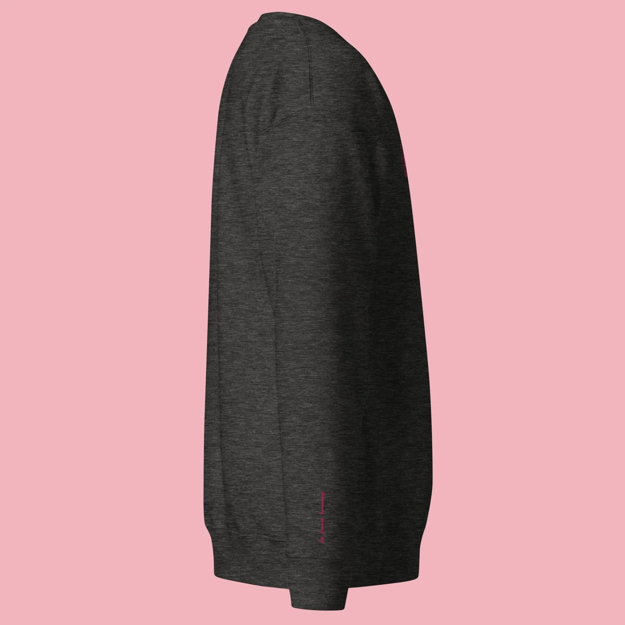 unisex-premium-sweatshirt-charcoal-heather-right-677cc19809344.jpg