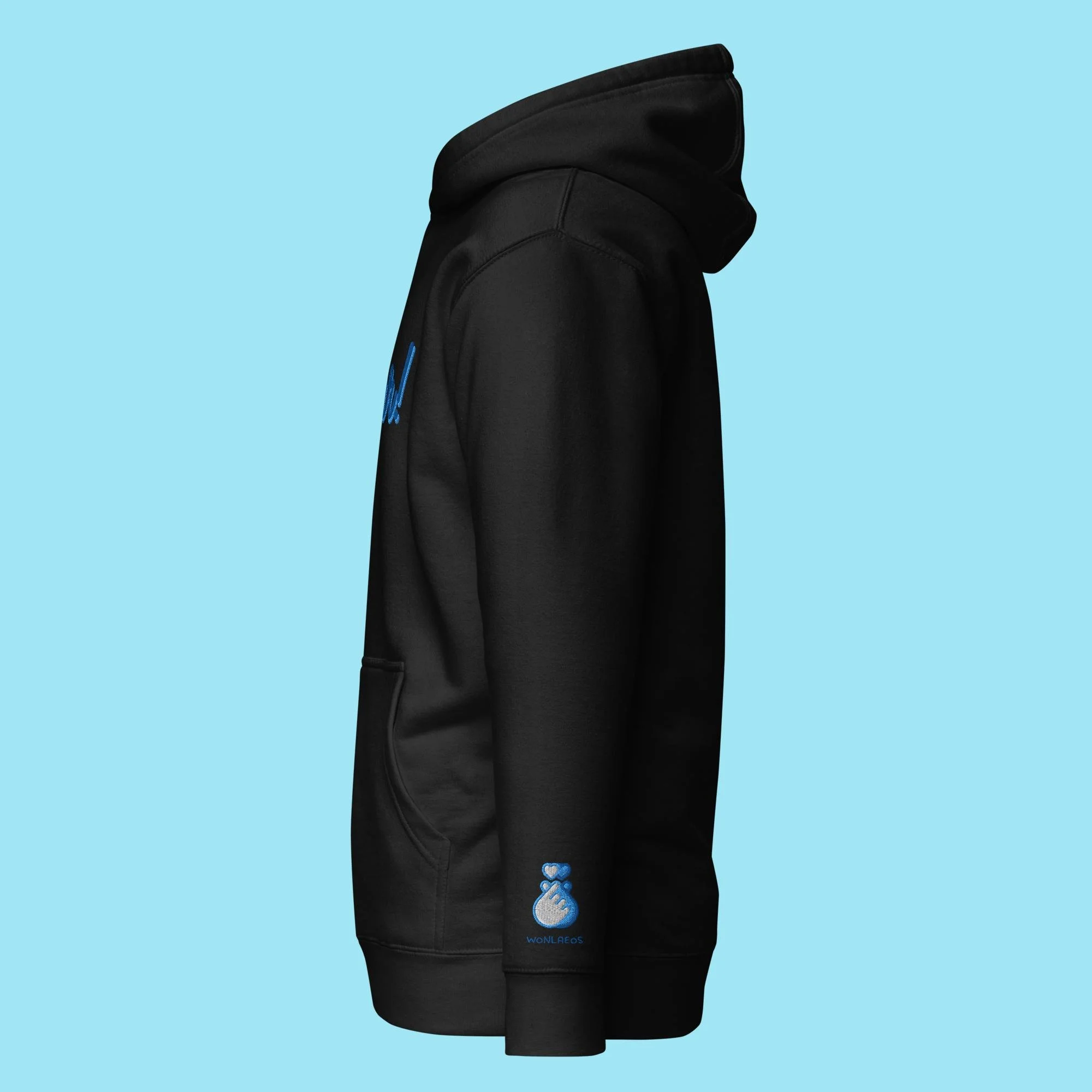 unisex-premium-hoodie-black-left-677e14b88e95b.jpg