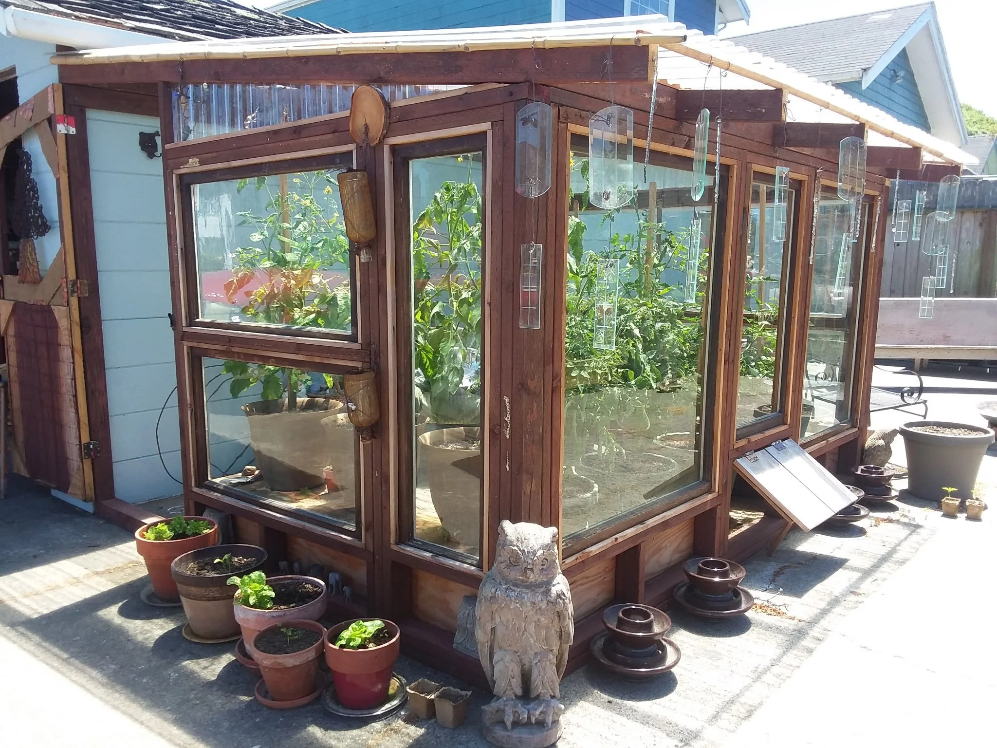 greenhouse ferndale.JPG