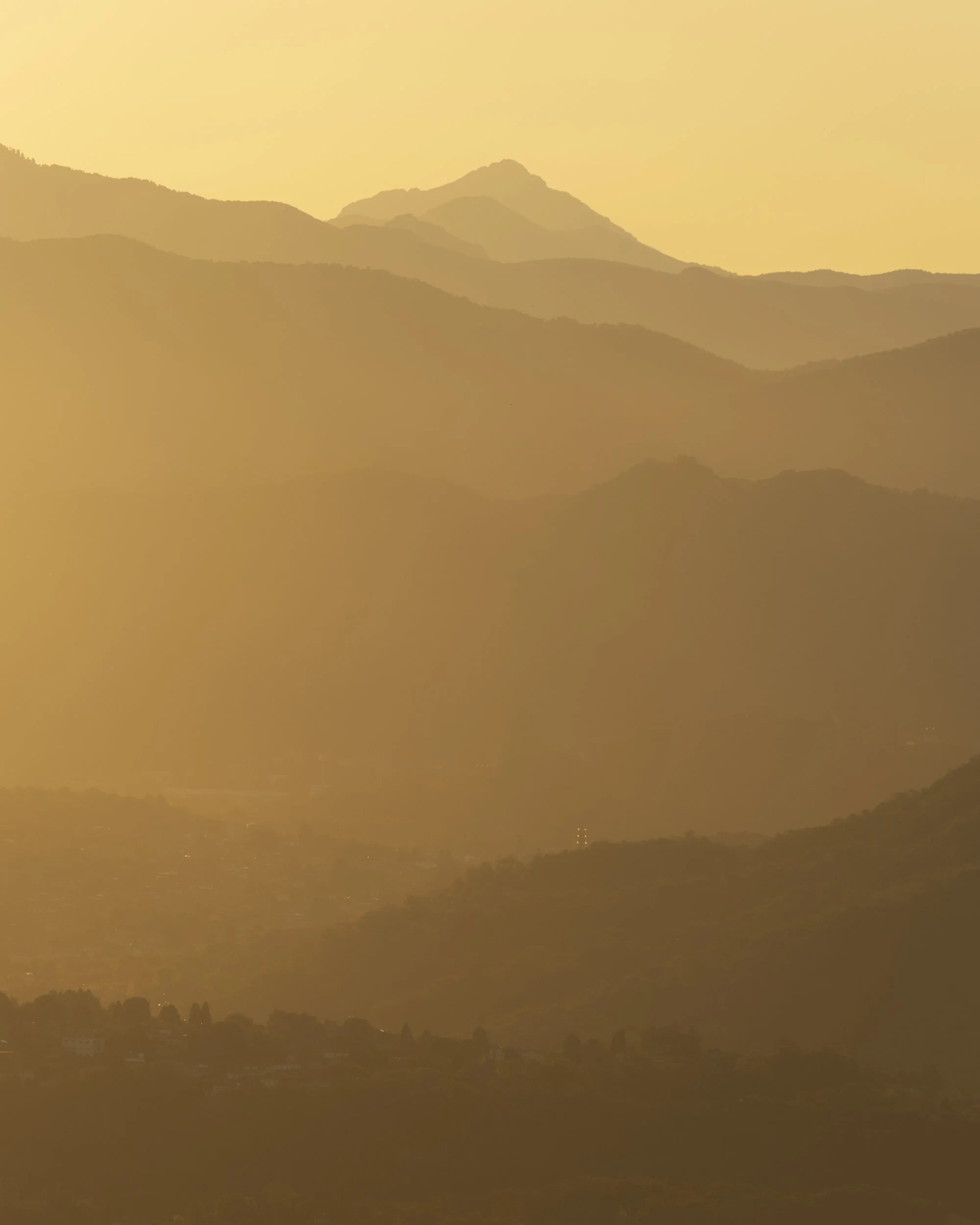 HOLIDAY 2025_CANON R6II-1712.jpg