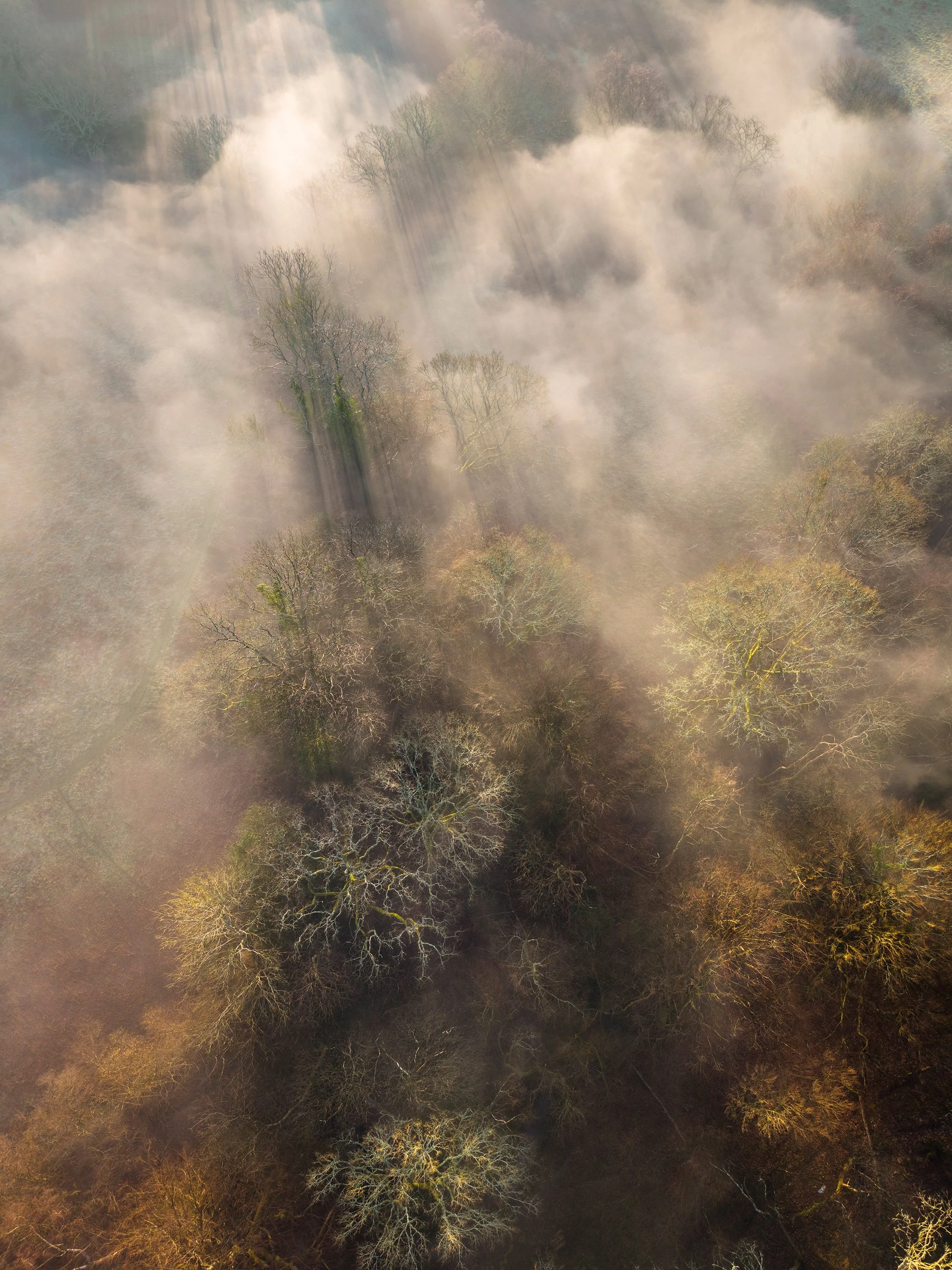CLOUD INVERSION BROAD OAK 5th MARCH 2026-0236-HDR.jpg