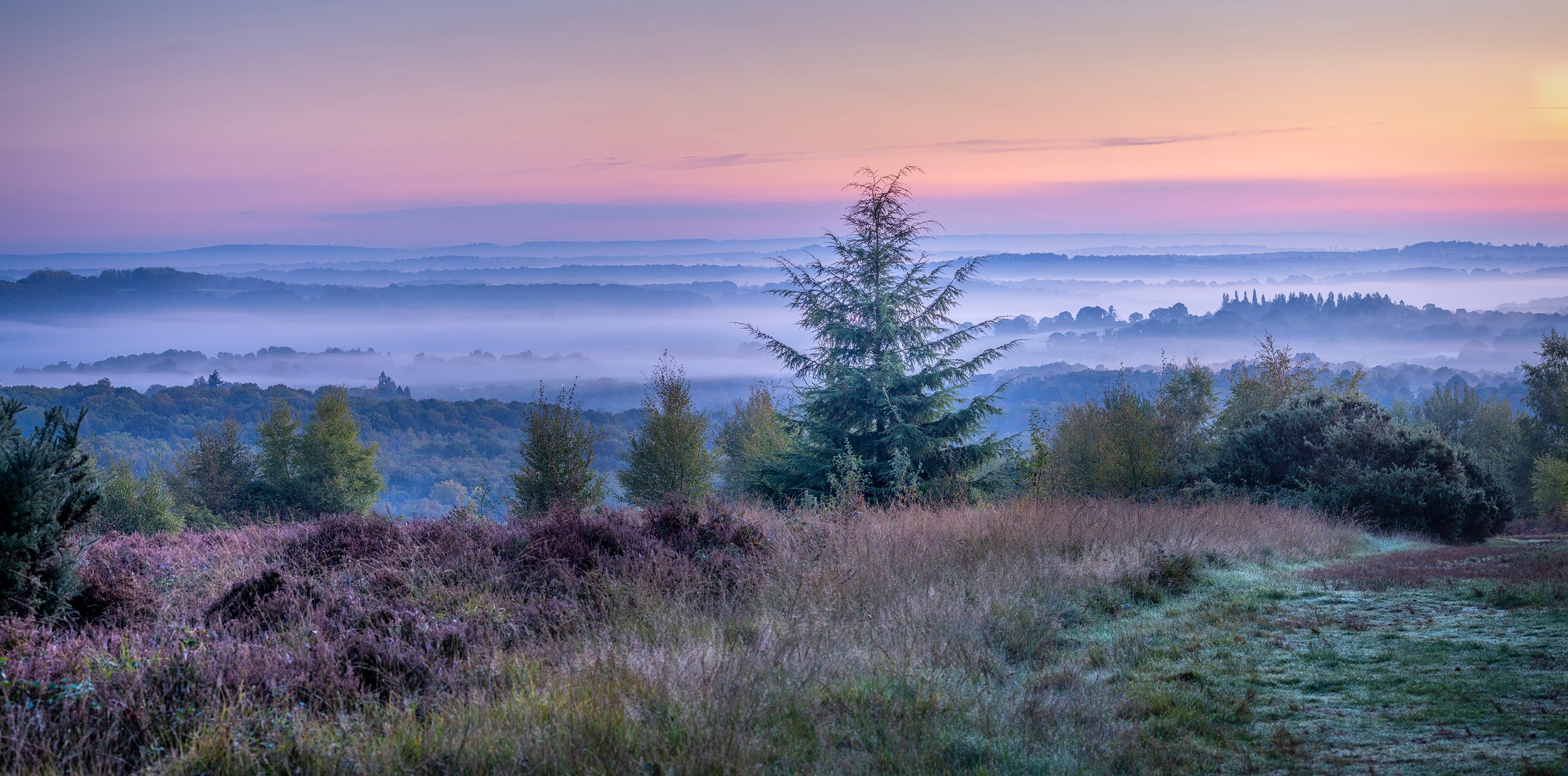A scenic landscape with layers of trees, mist, and a pastel-colored sky during sunrise or sunset.
