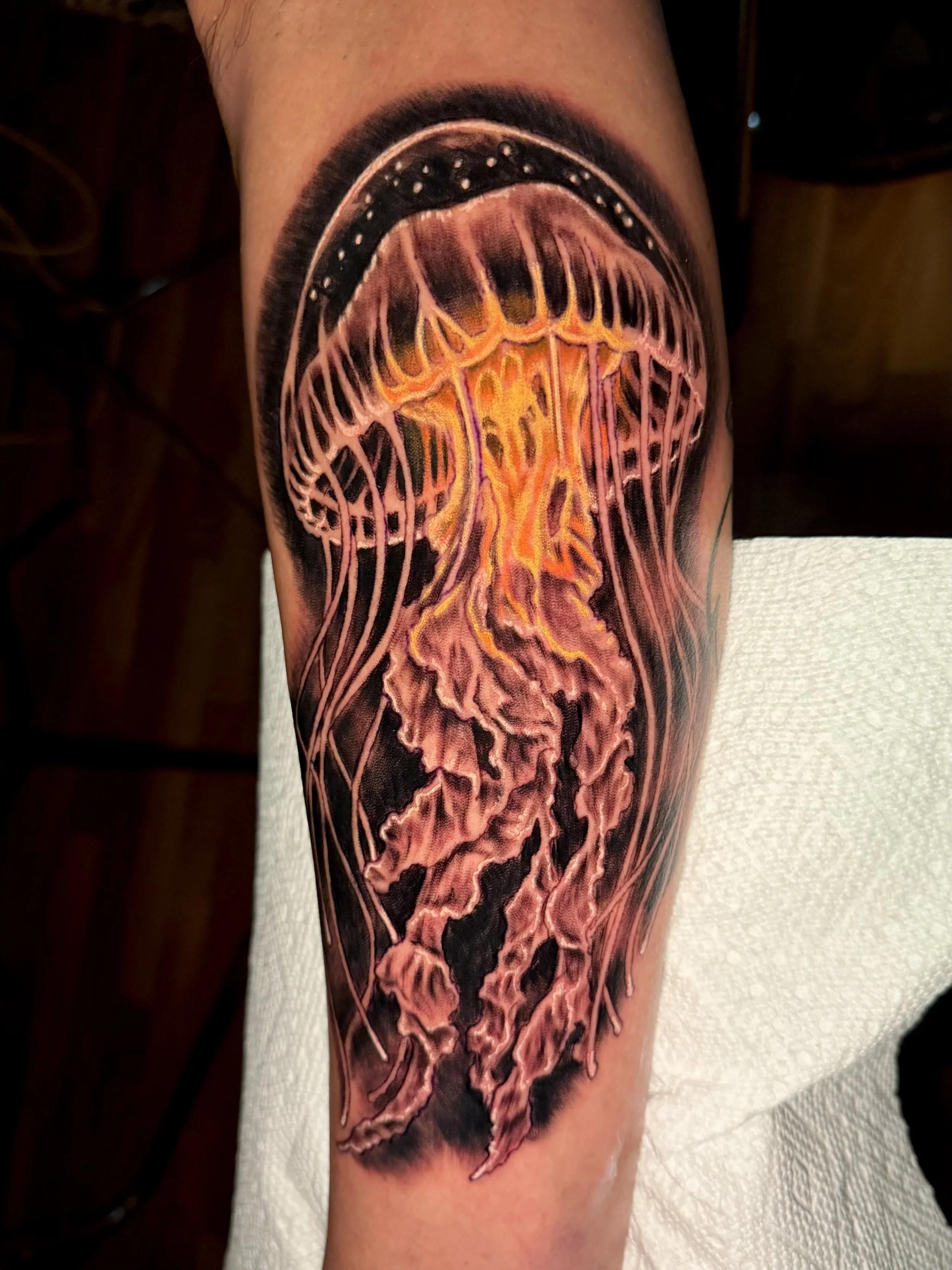 Black and gray with a color glow in the center jellyfish tattoo done by Shred at Shred's Inferno Custom Tattoos in Chicago, Illinois.