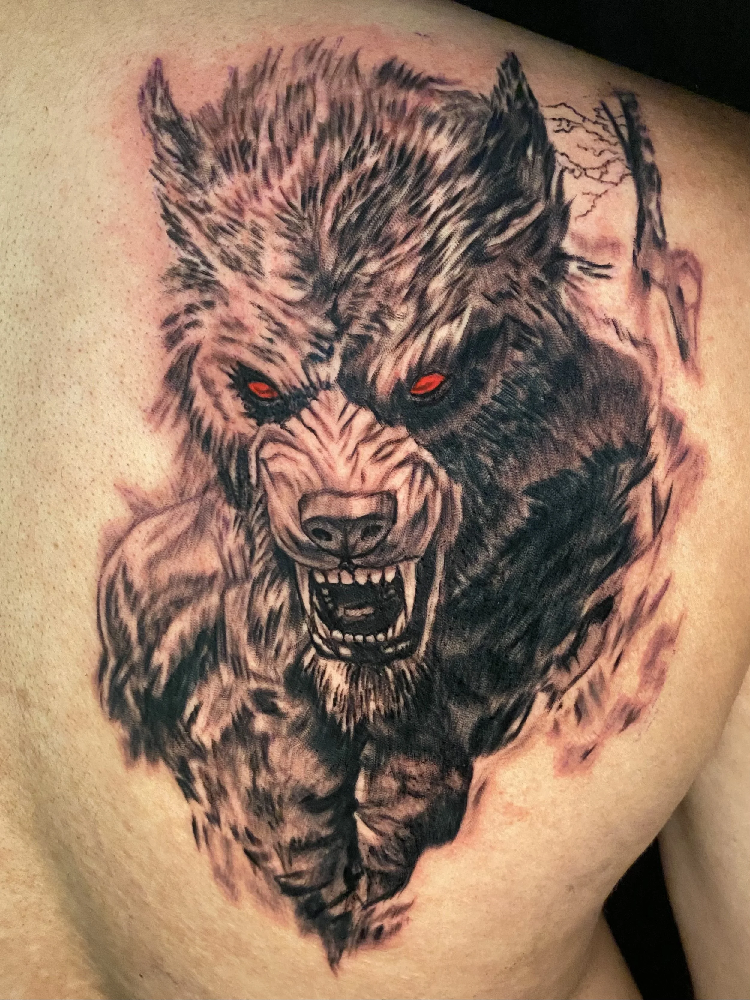 Werewolf tattoo done by Tattoo Artist Shred