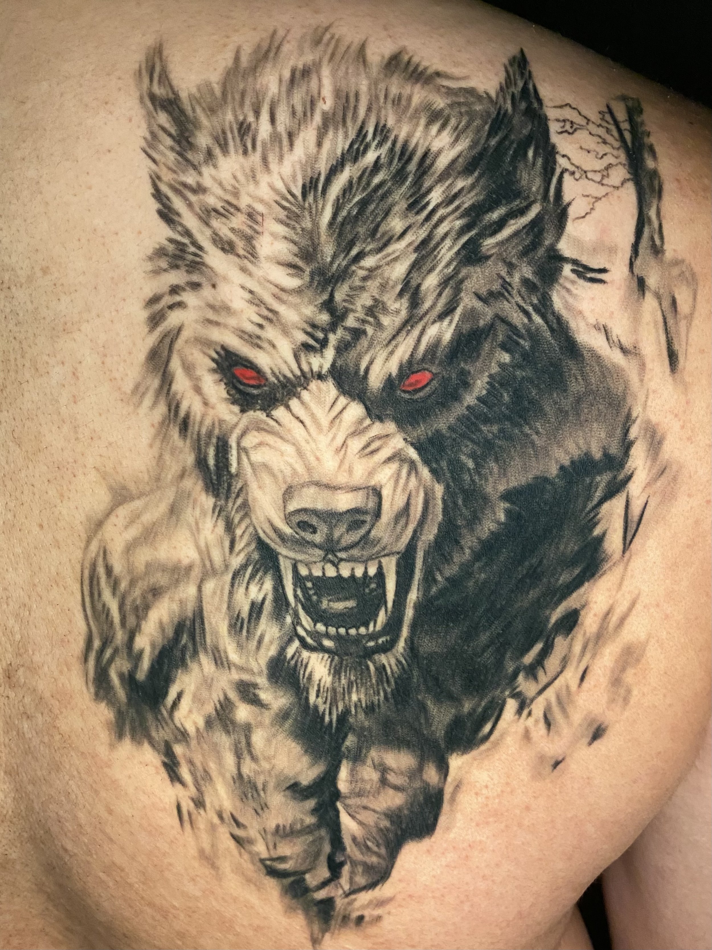 healed werewolf tattoo done by the top black and gray tattoo artist -Shred-