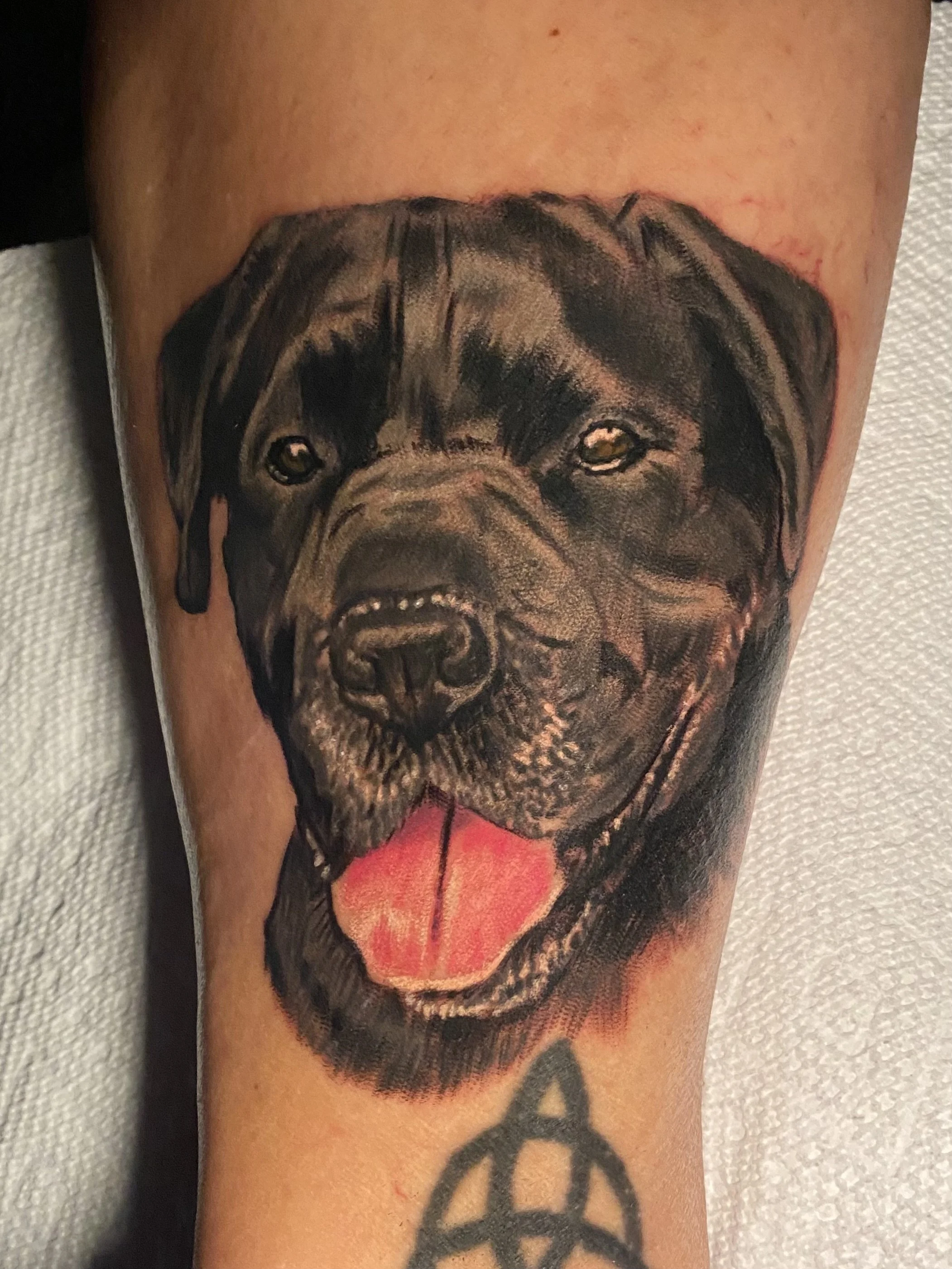 Color dog/pet portrait done by Shred at the best tattoo shop in Illinois for pet portraits
