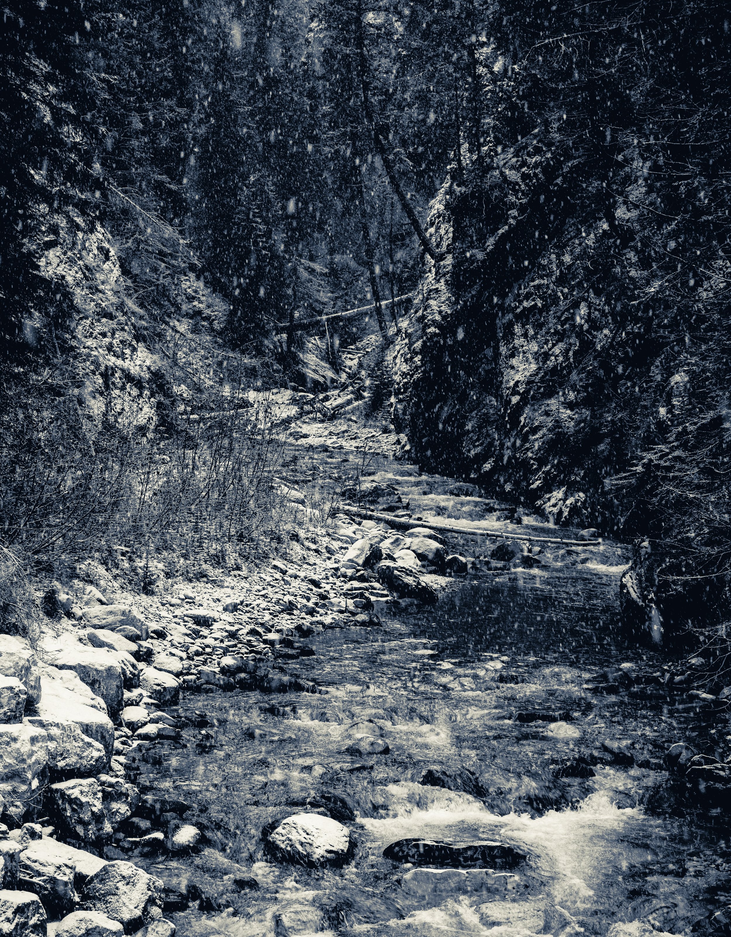 Storm Creek - small file.jpeg