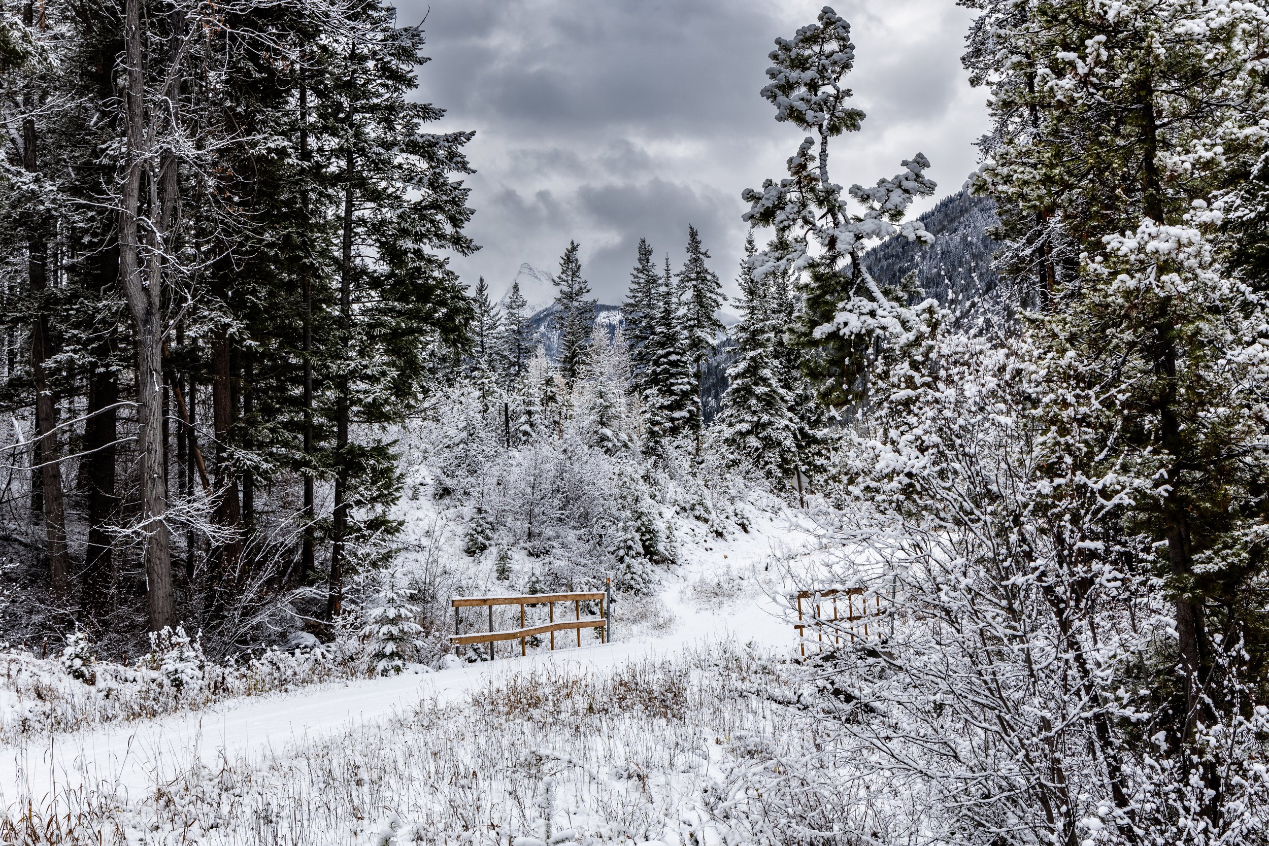 snow road - small file.jpeg