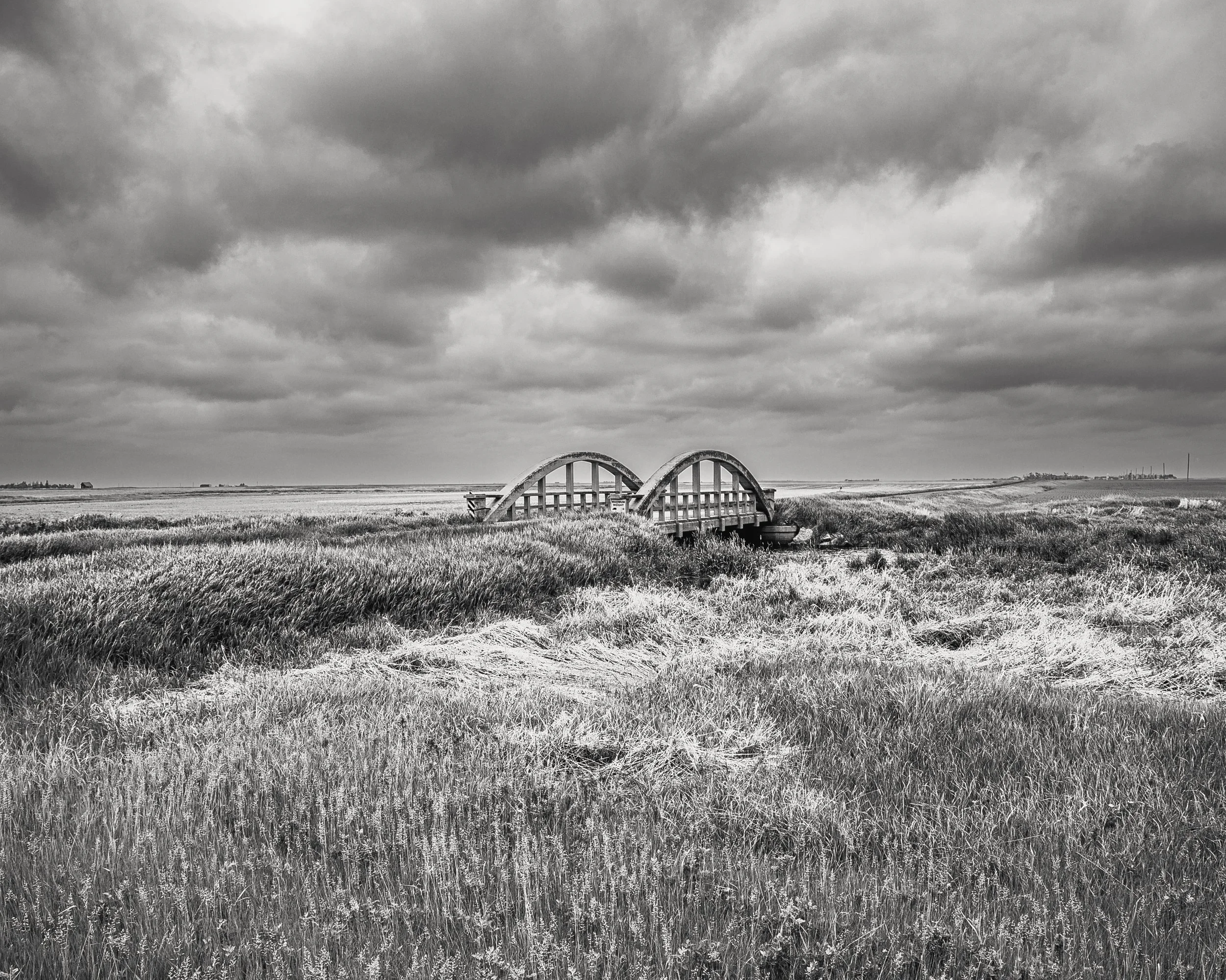 Wilcox Bridge BW