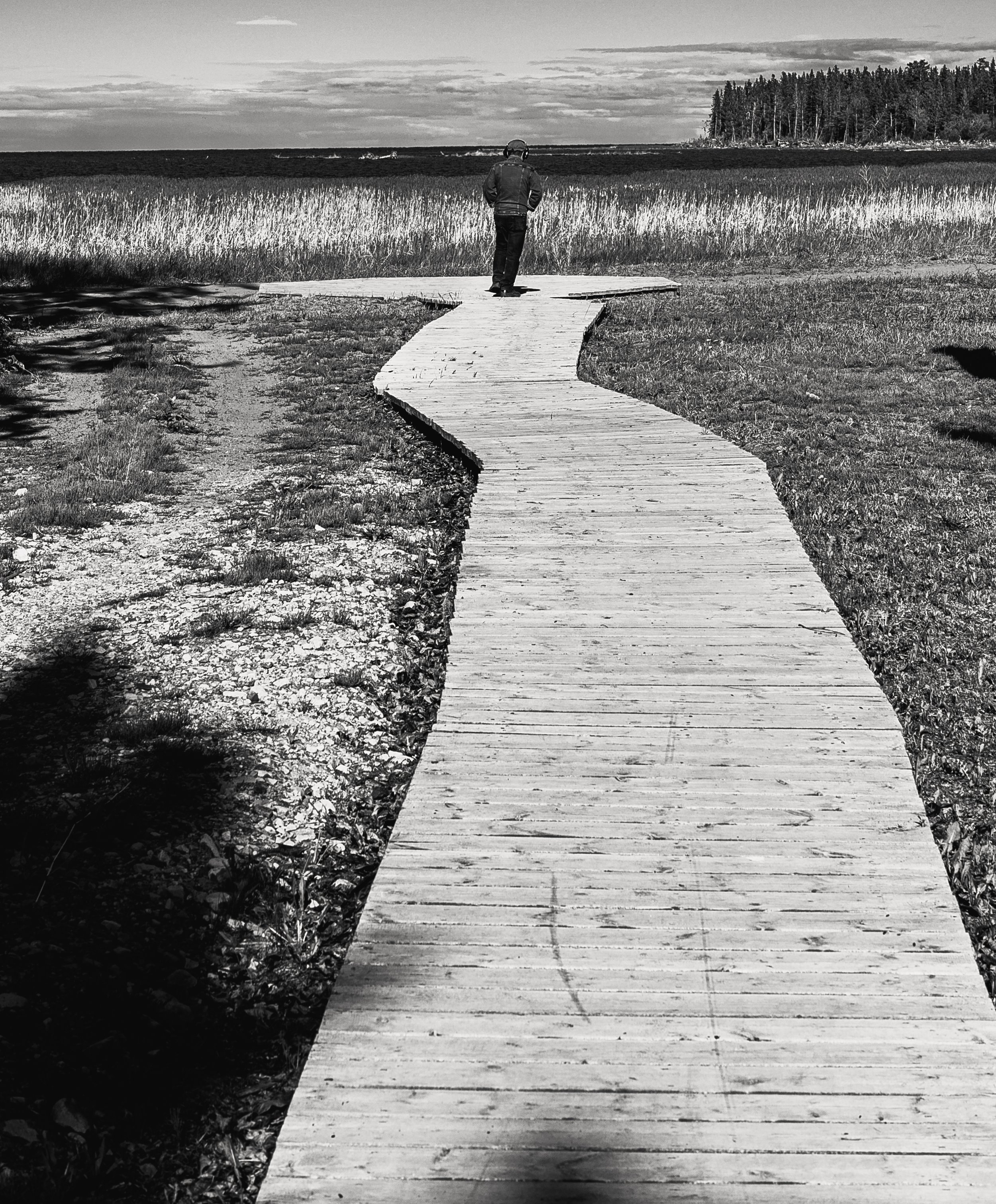 Northern Boardwalk