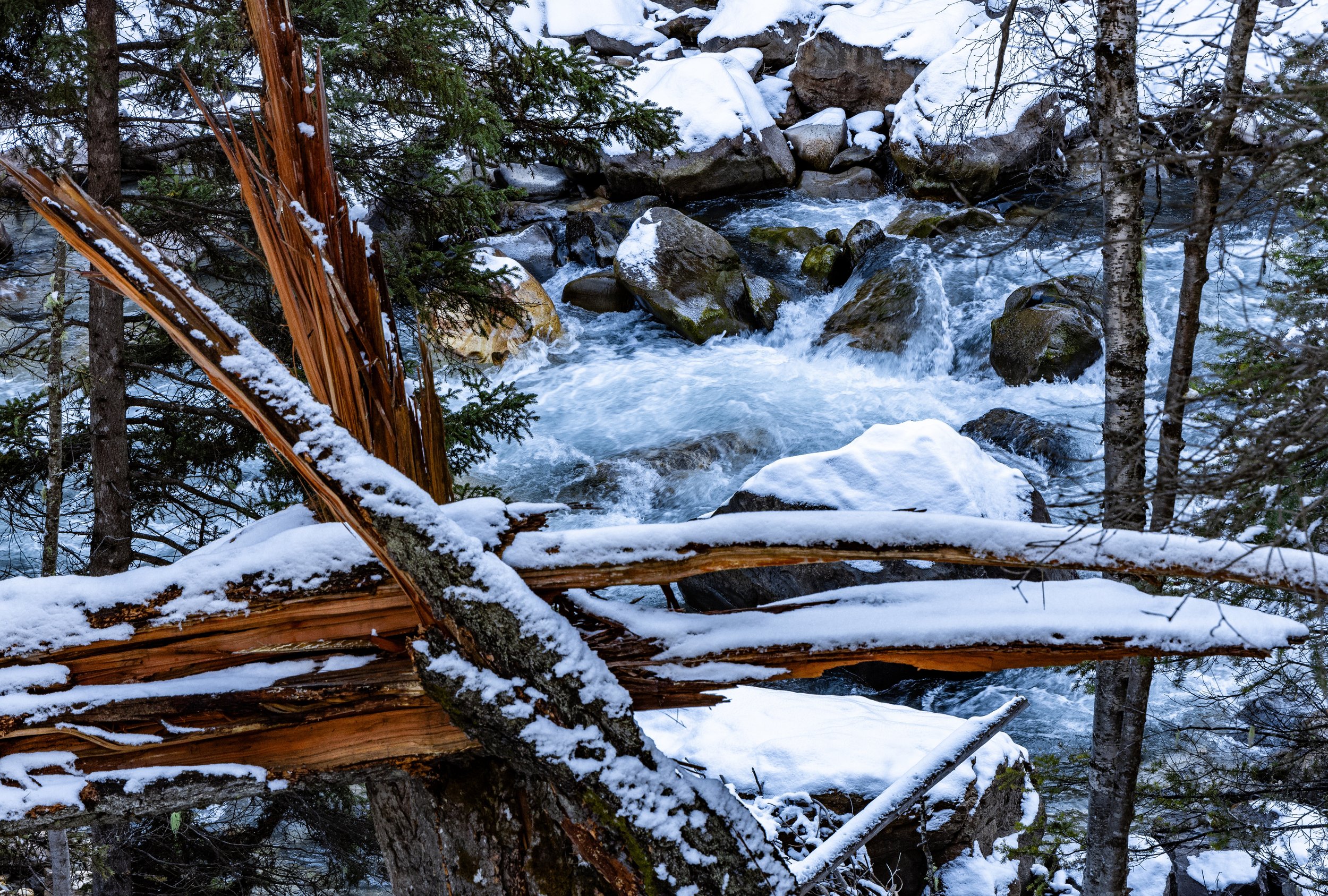 Splinter Creek - small file.jpeg