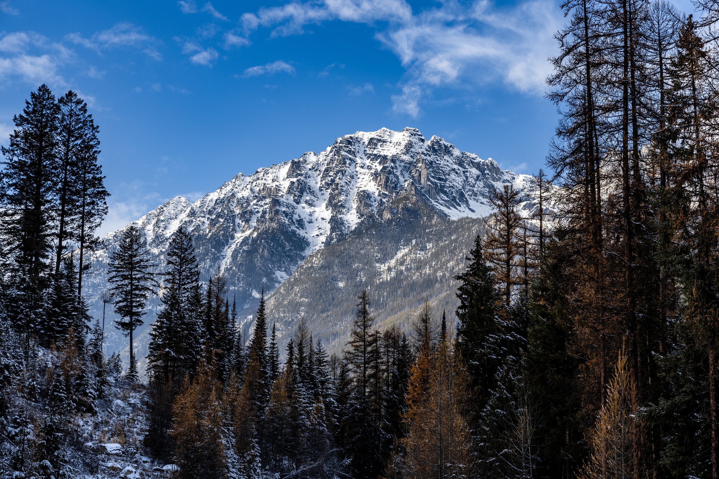 winter range - small file.jpeg