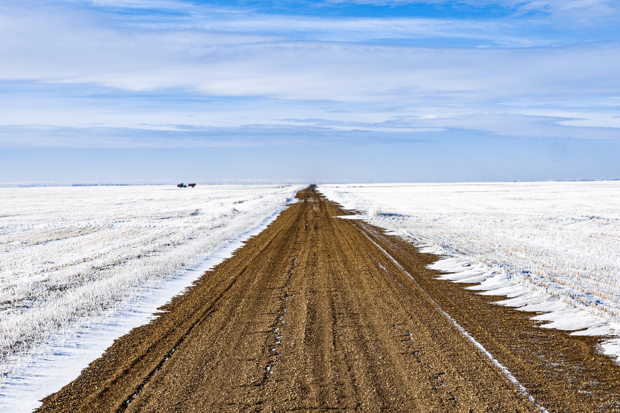 Winter Grid - small file.jpeg