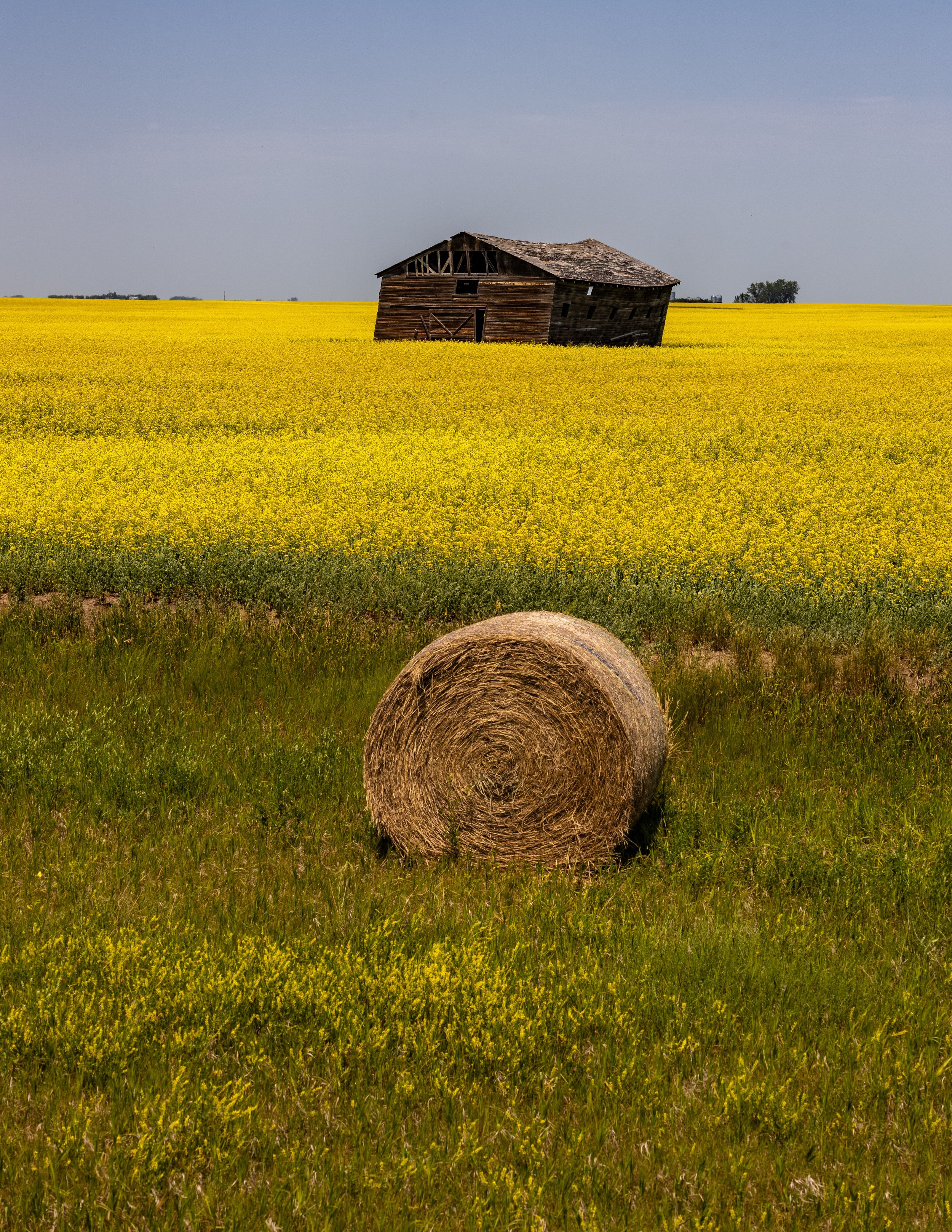 Barn and Bale - small file.jpeg