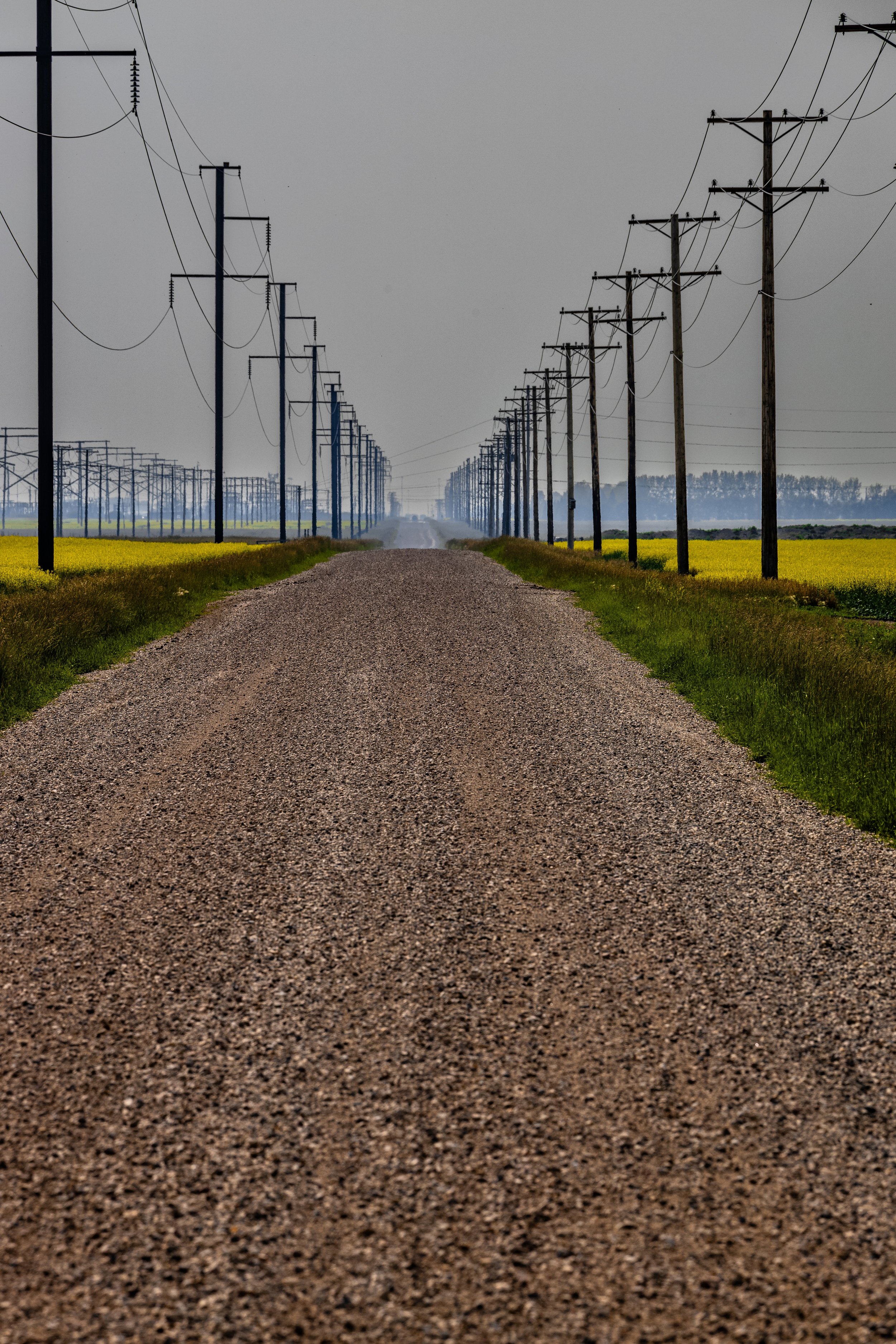 Straight Lines - small file.jpeg