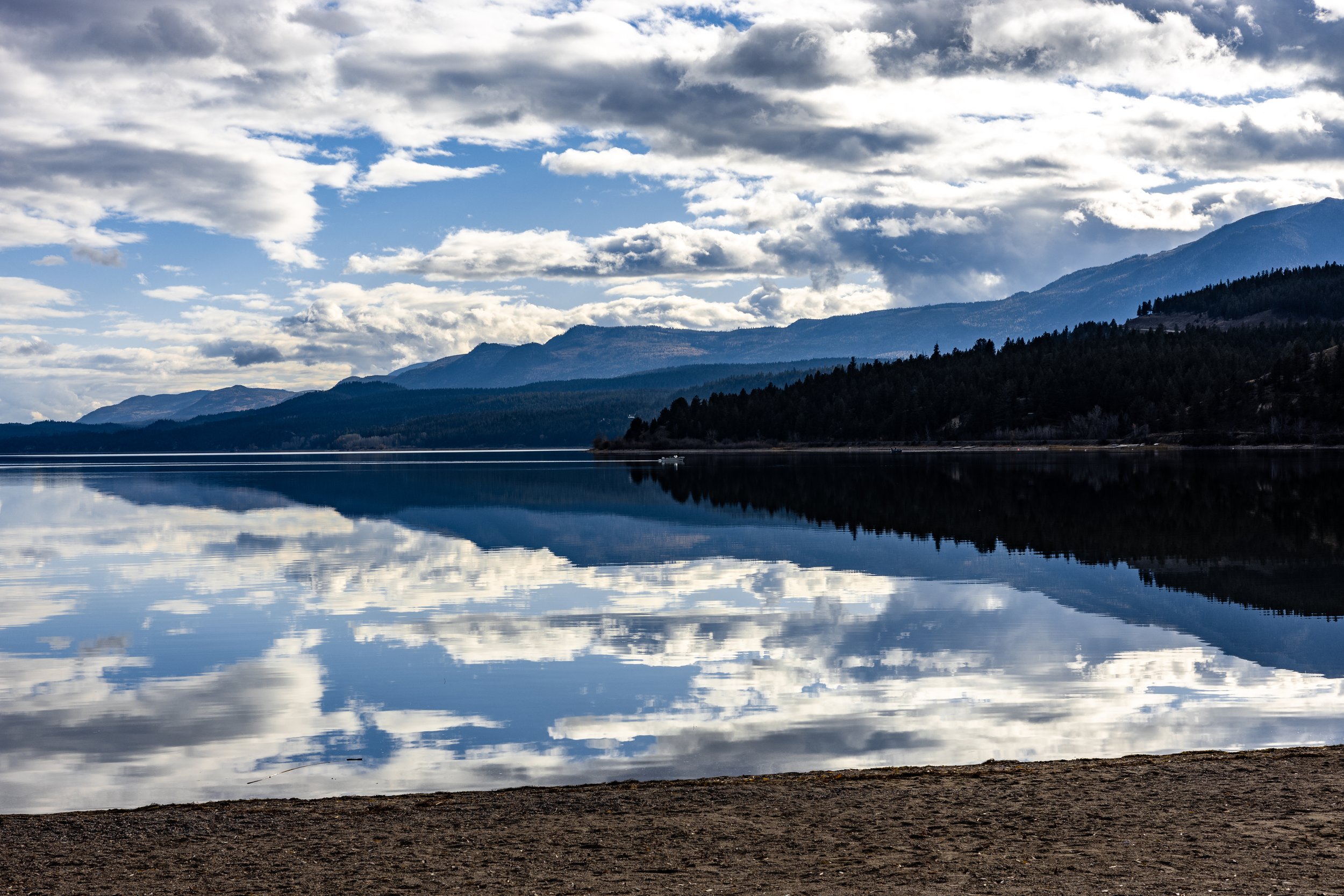 Windermere Reflections 1