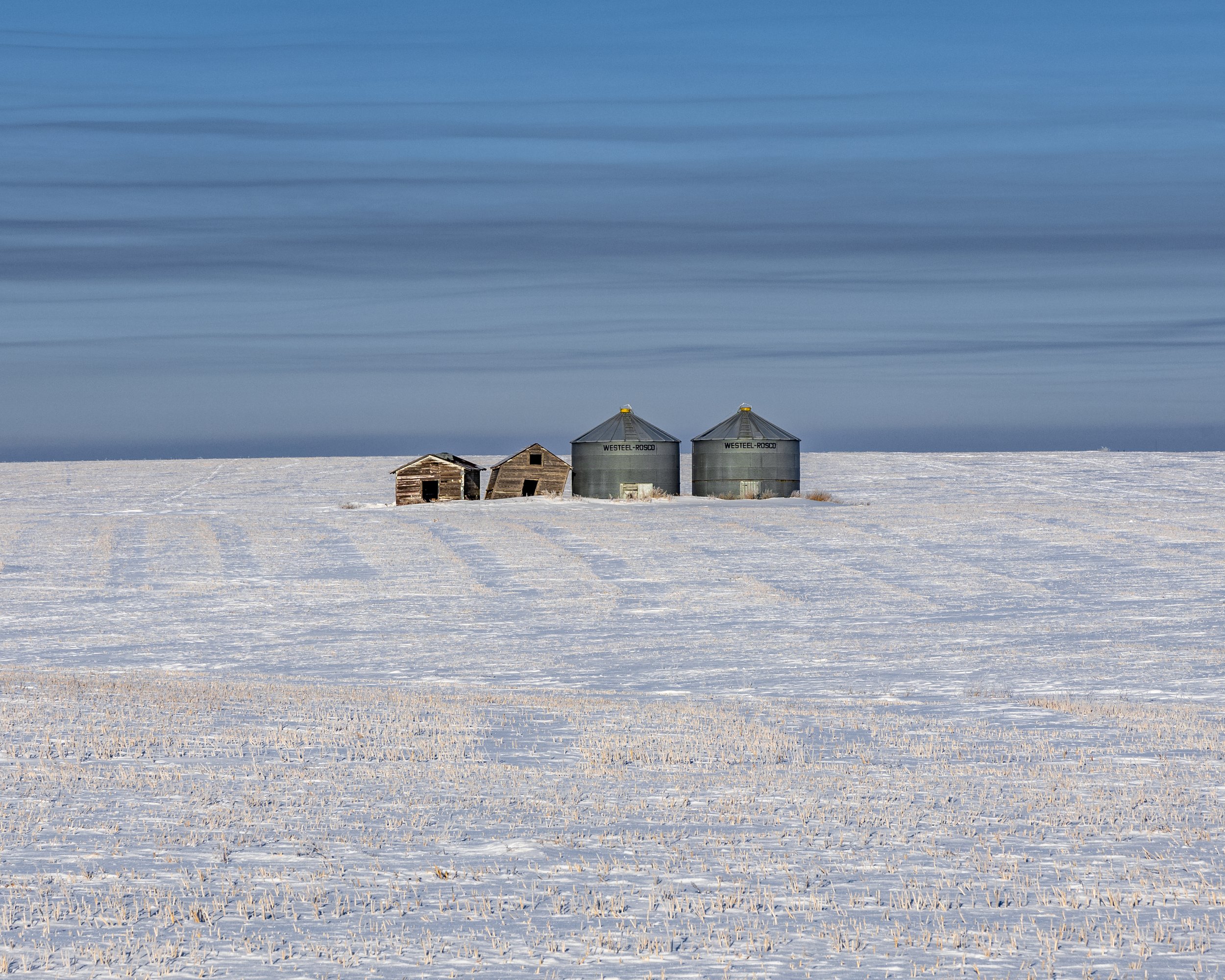 Winter Bins