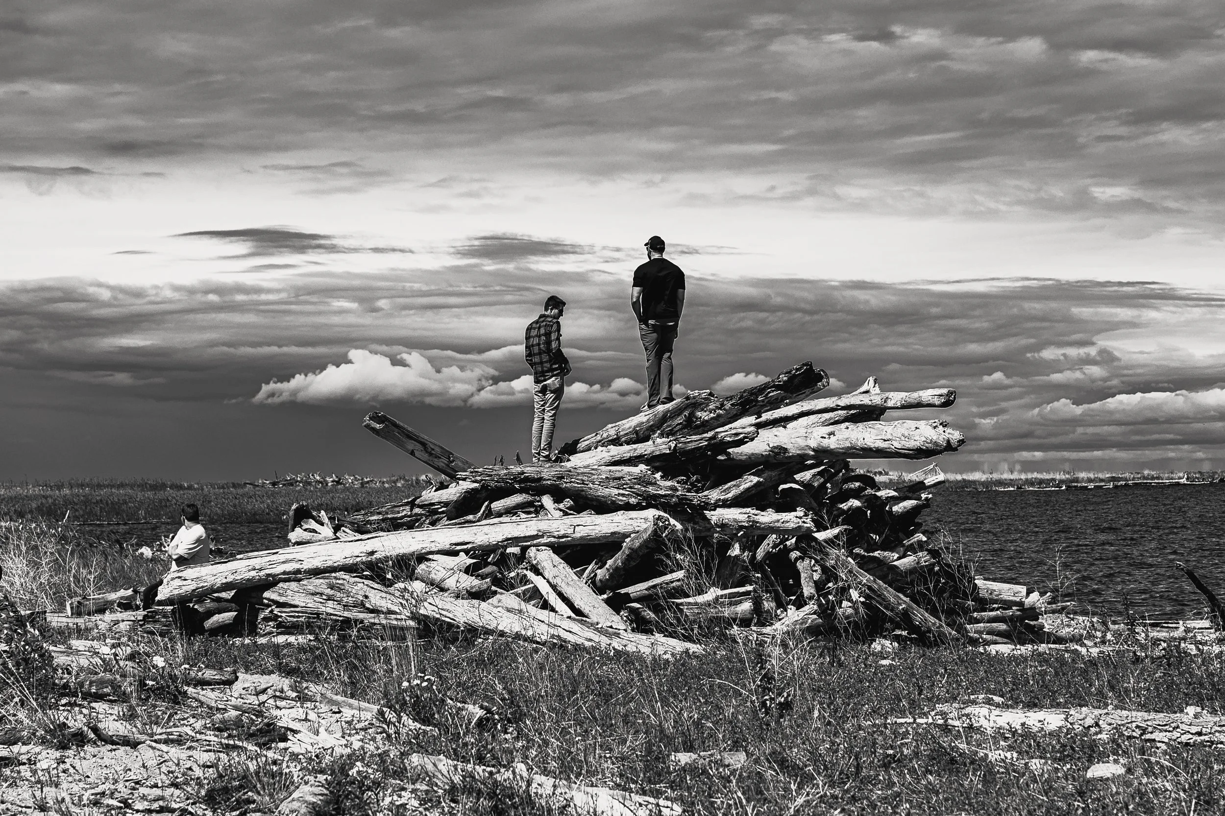 Driftwood Views