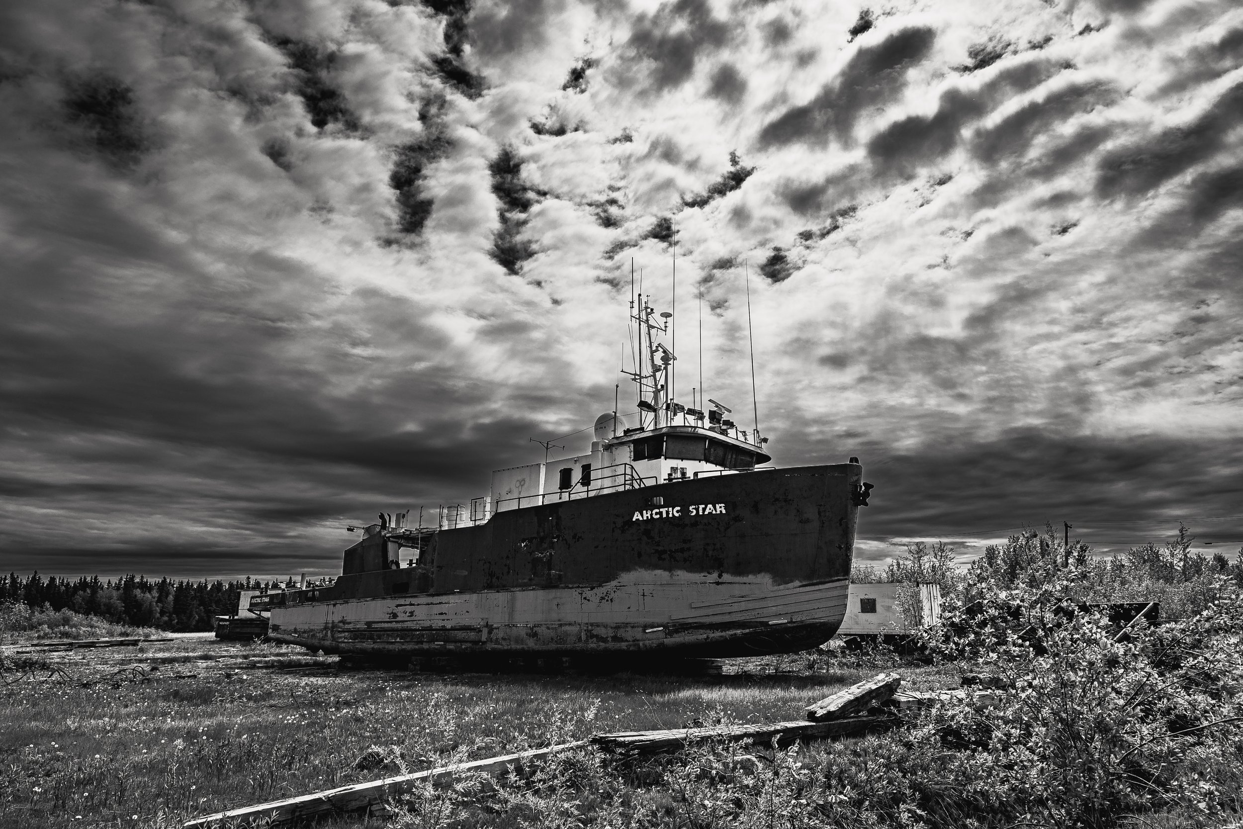 Arctic Star BW