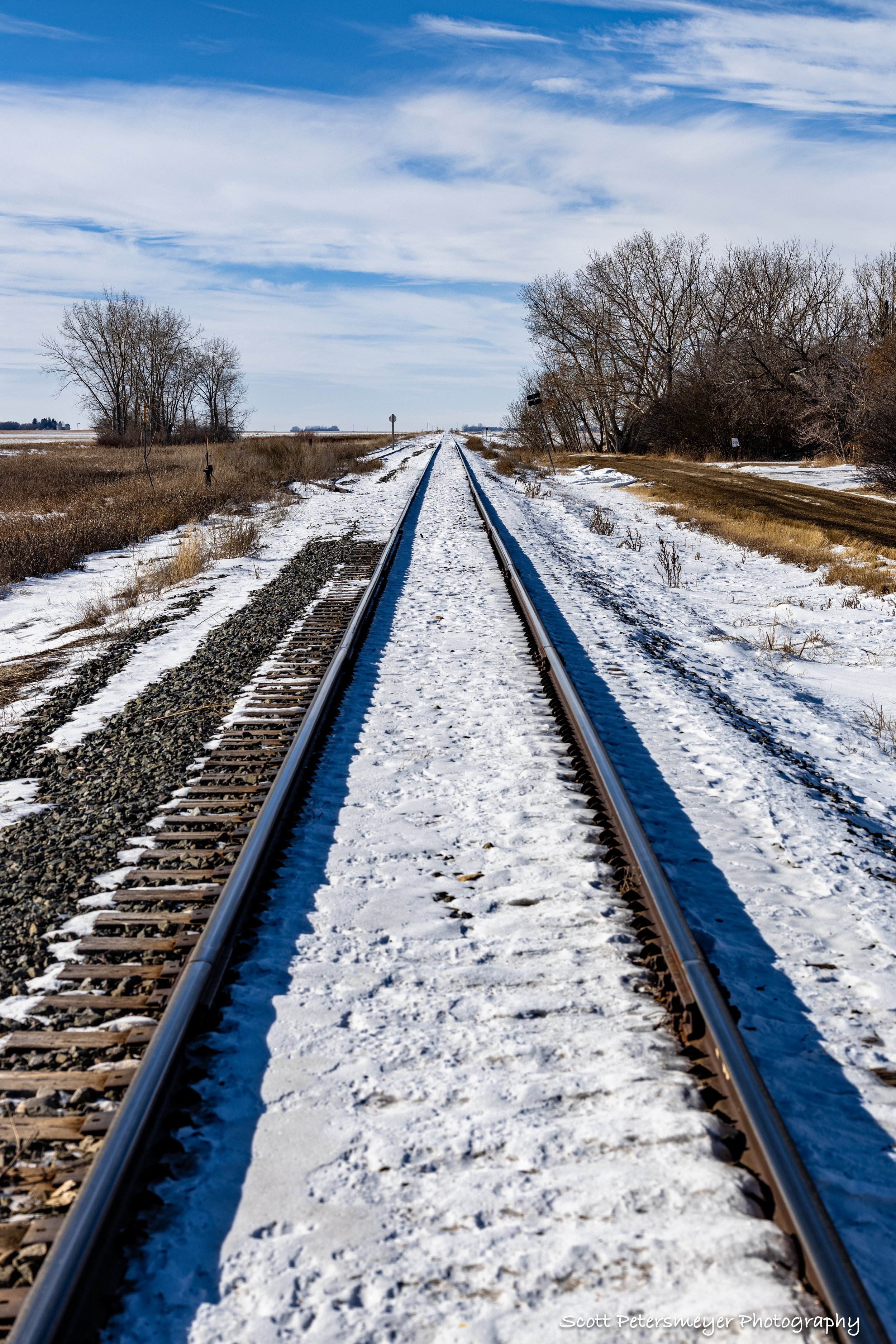 snow rails - small file.jpeg