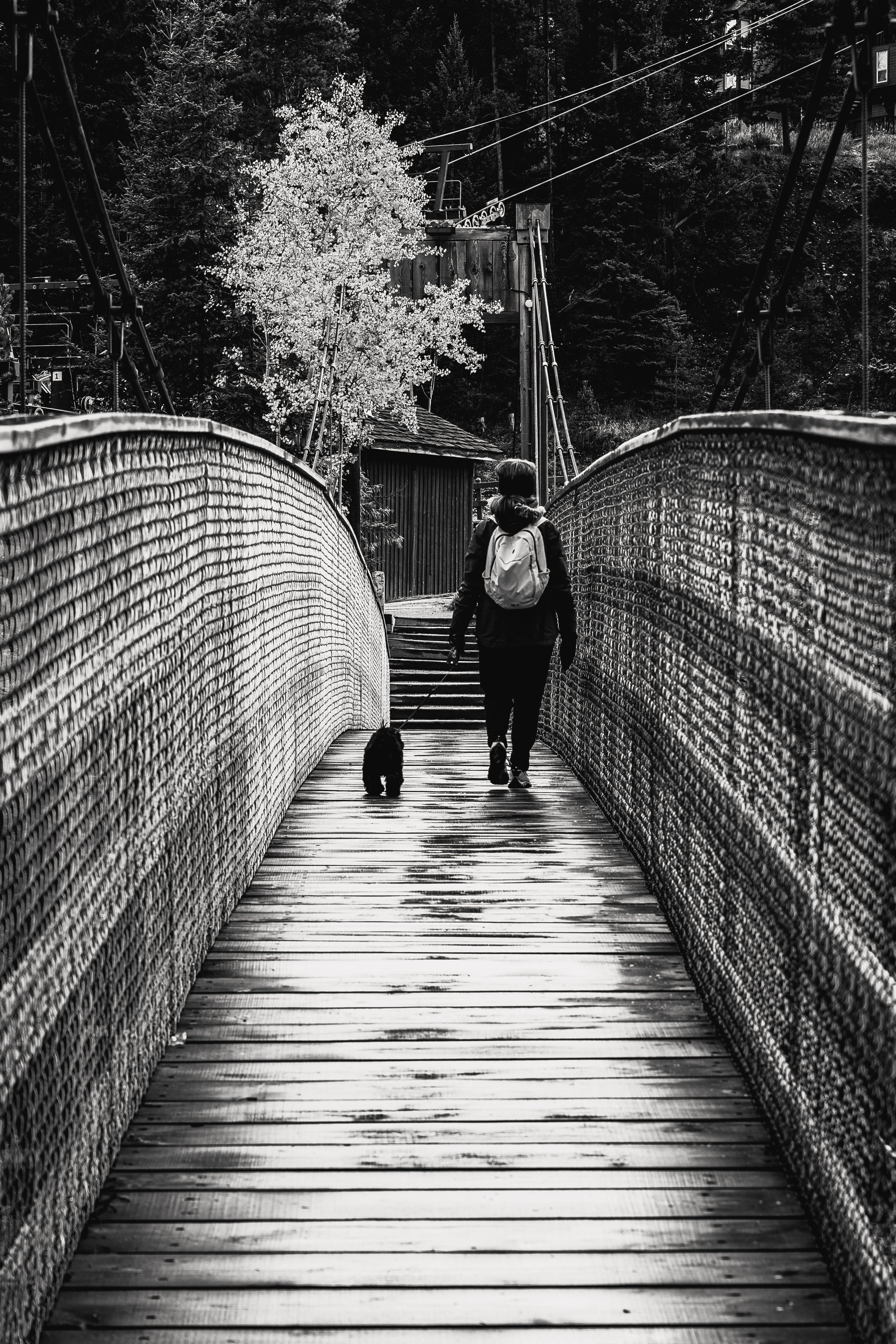 Quiet Walk