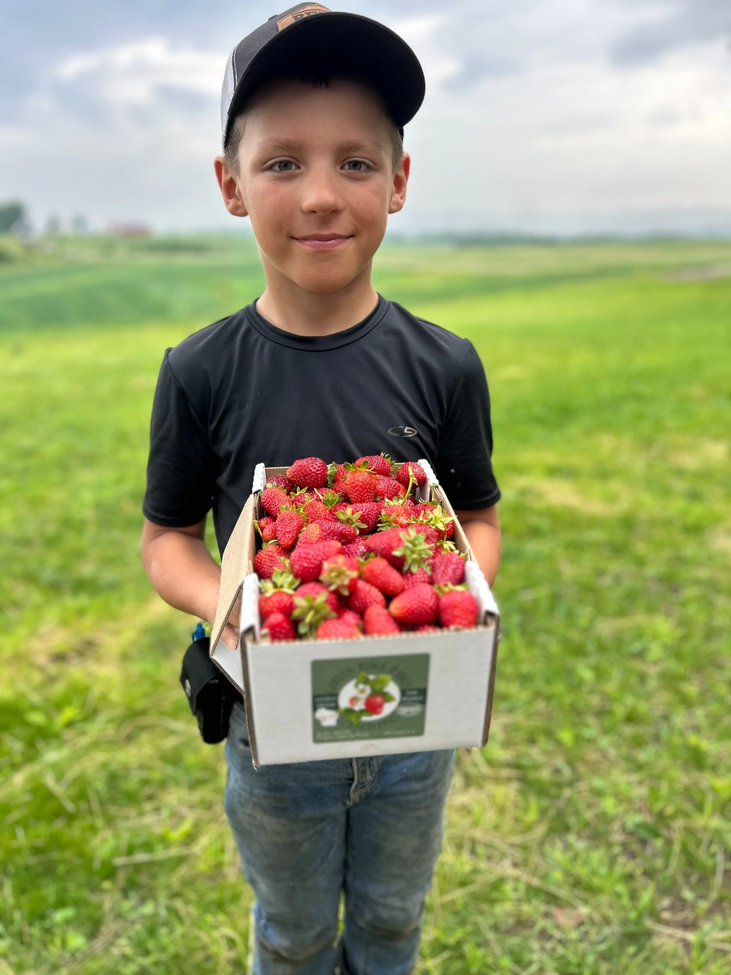 SOLD OUT for 2025 Preorder Organic Strawberries