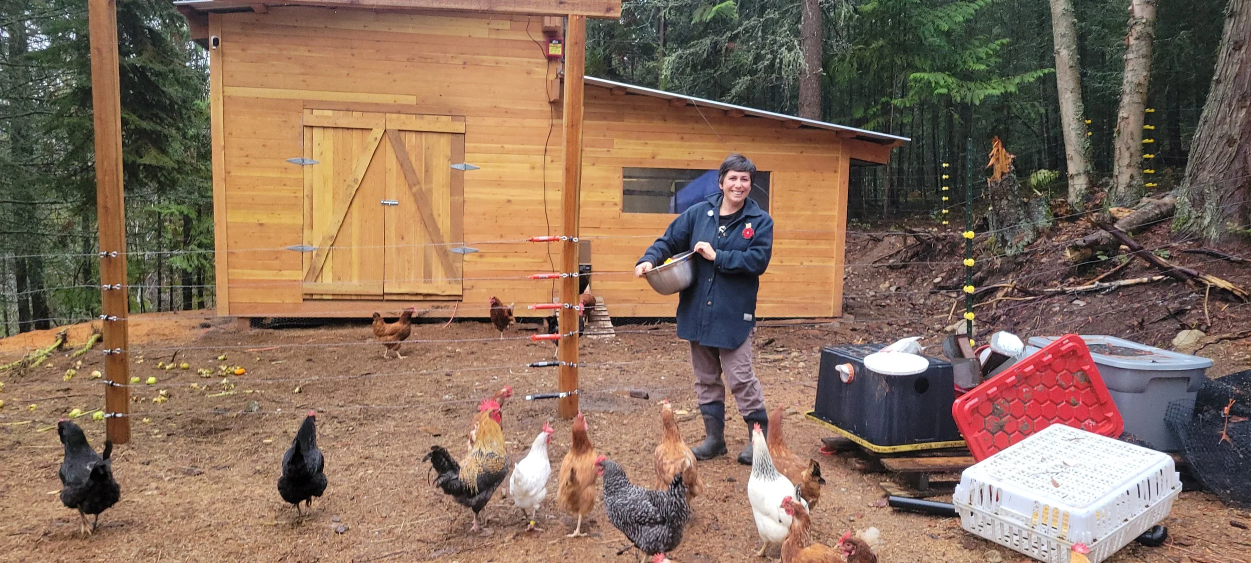 Dreamcatcher Farm Harrop: Growing Food, Growing Relationships 