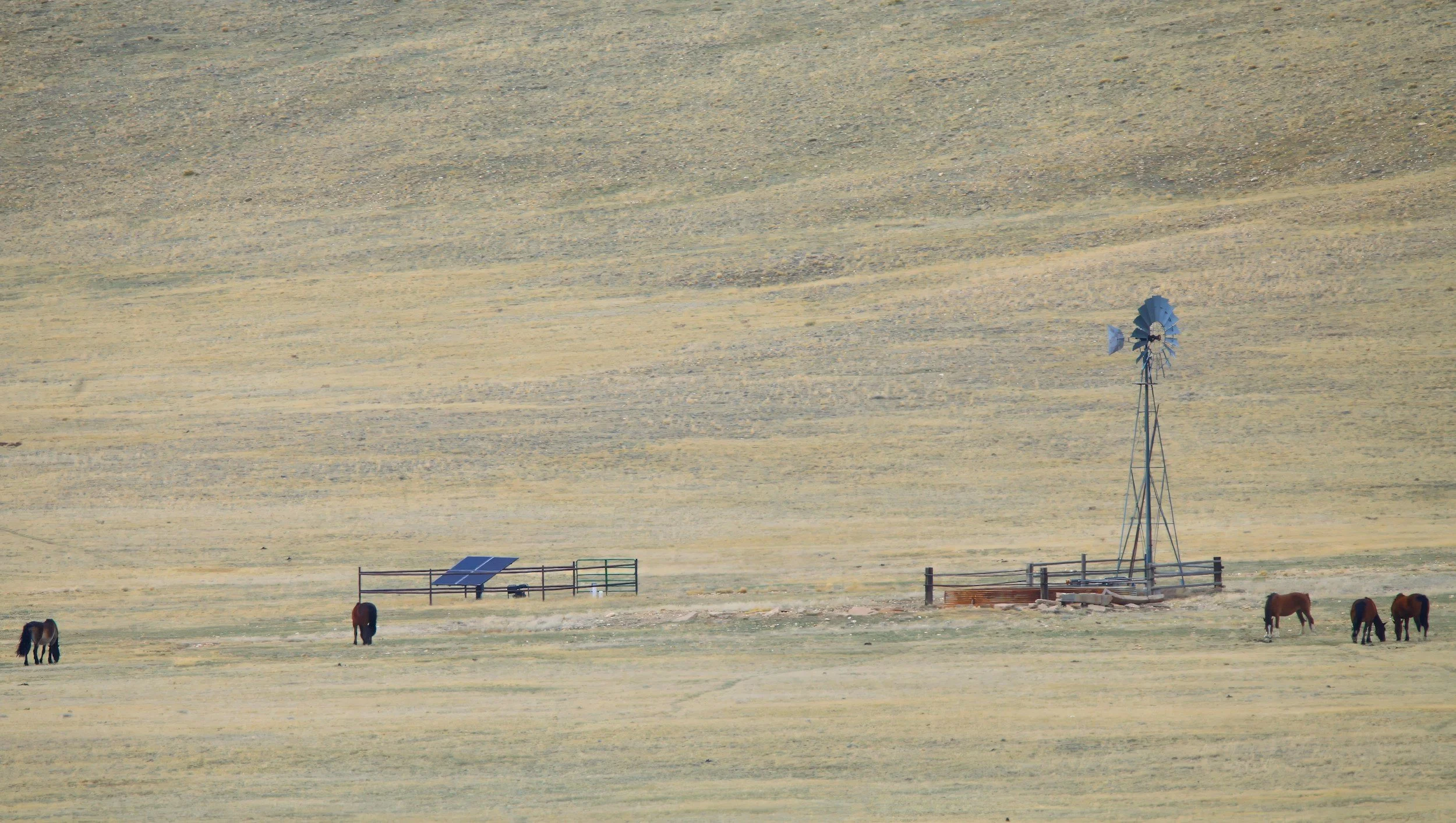 Wells and Septic Systems 101 for Your Montana Homesite